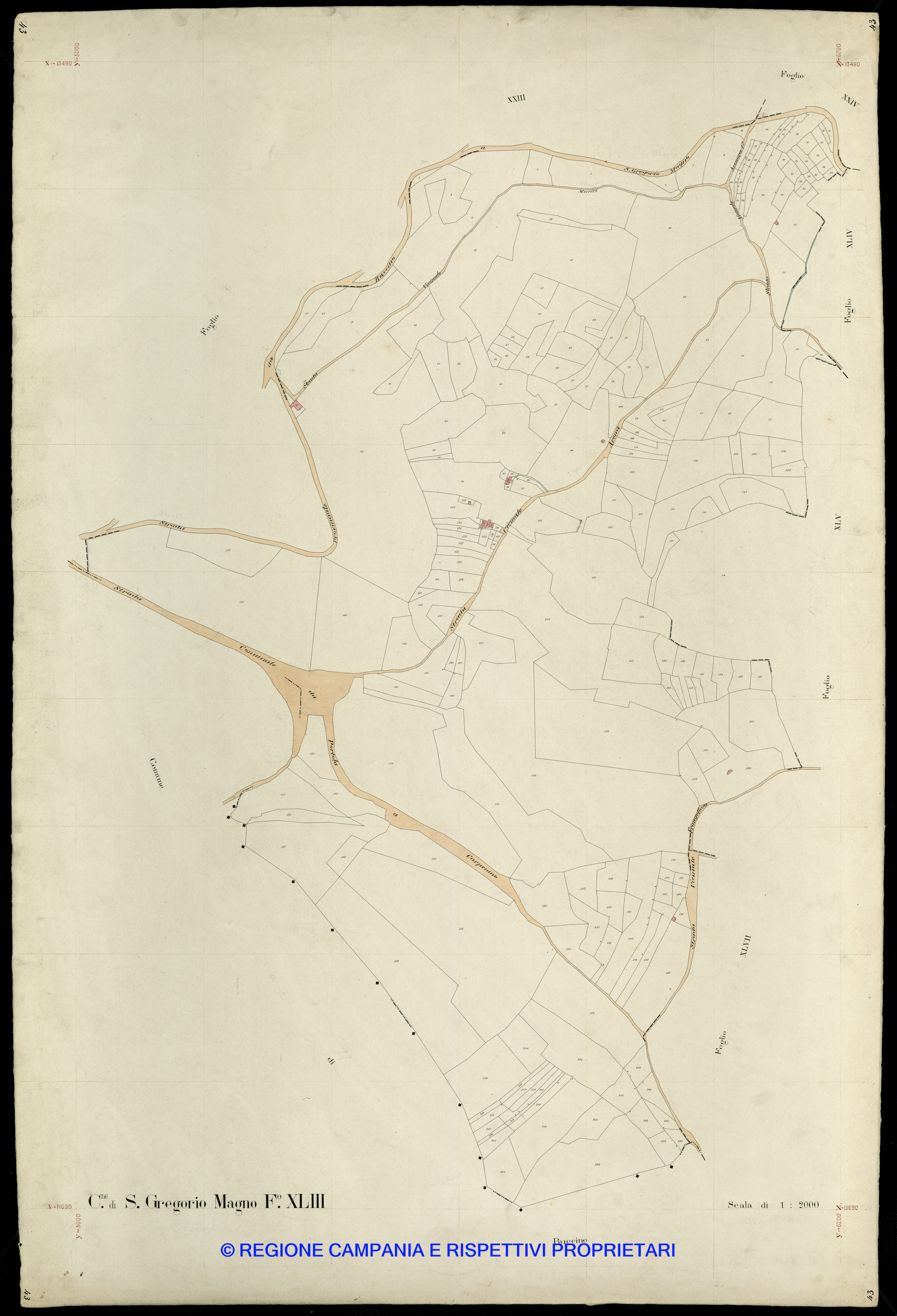 Mappa