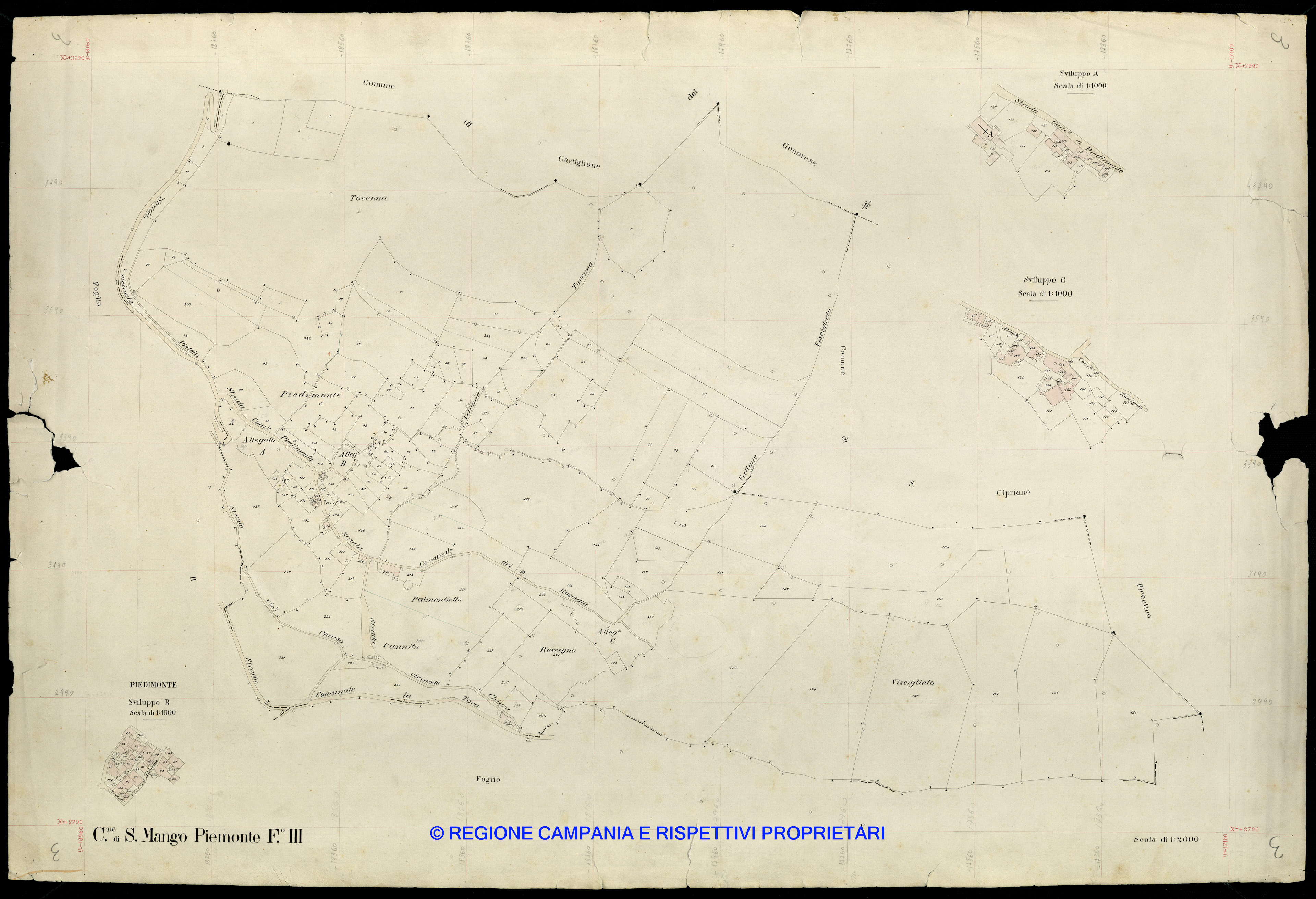 Mappa