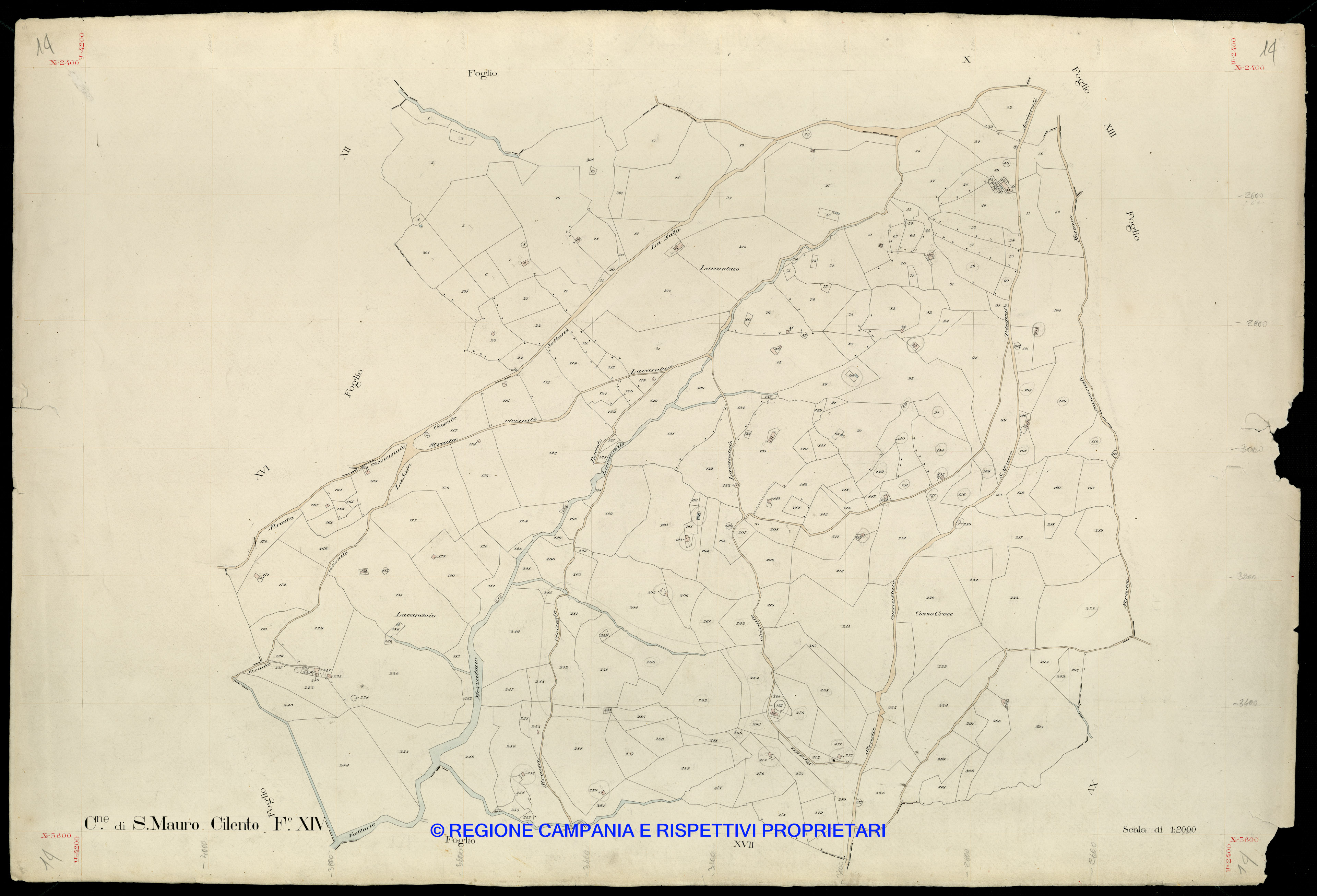 Mappa