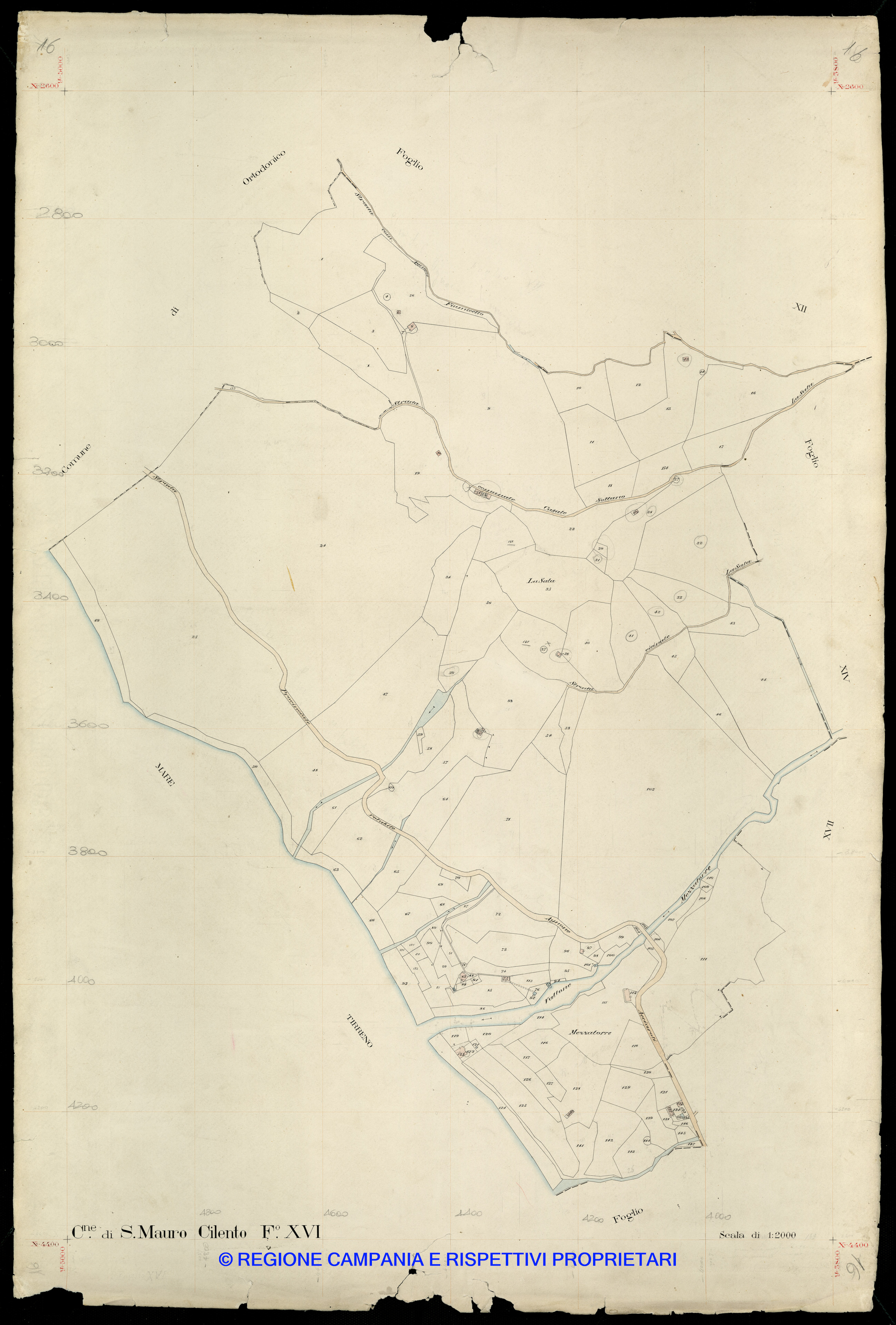 Mappa