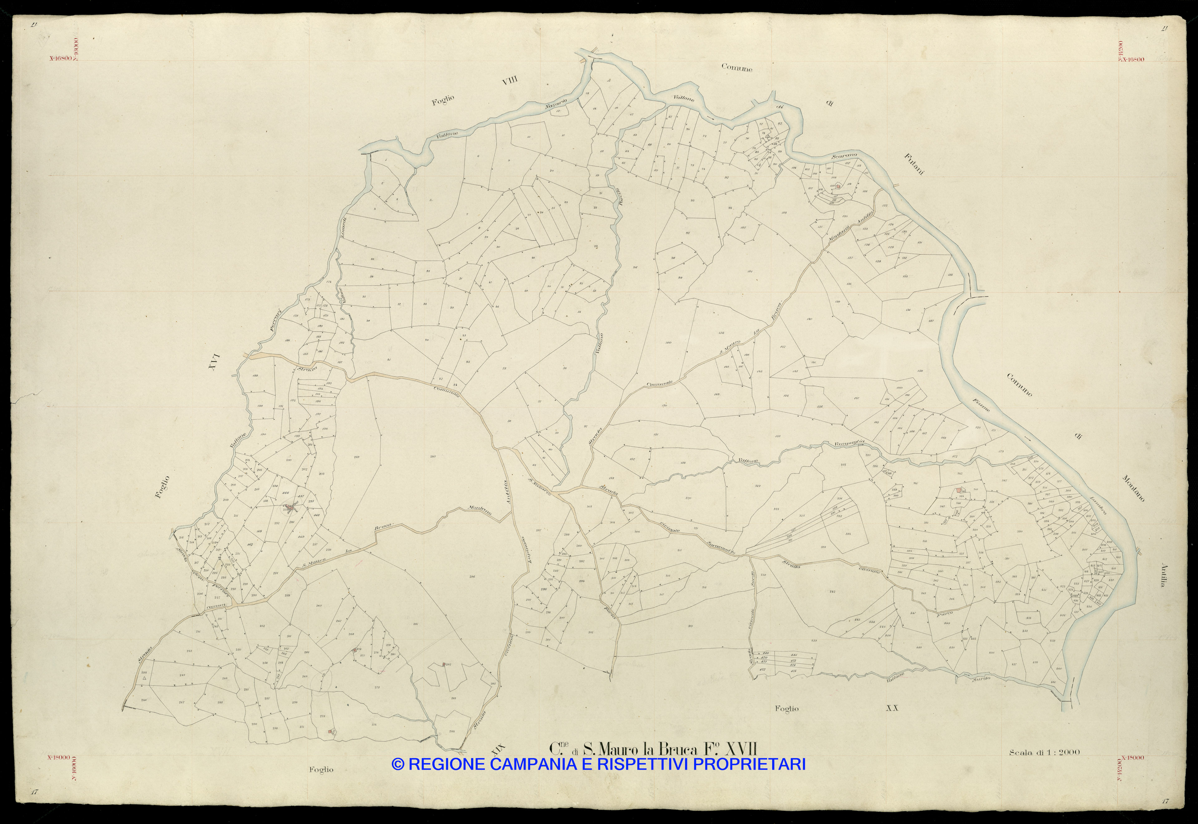 Mappa