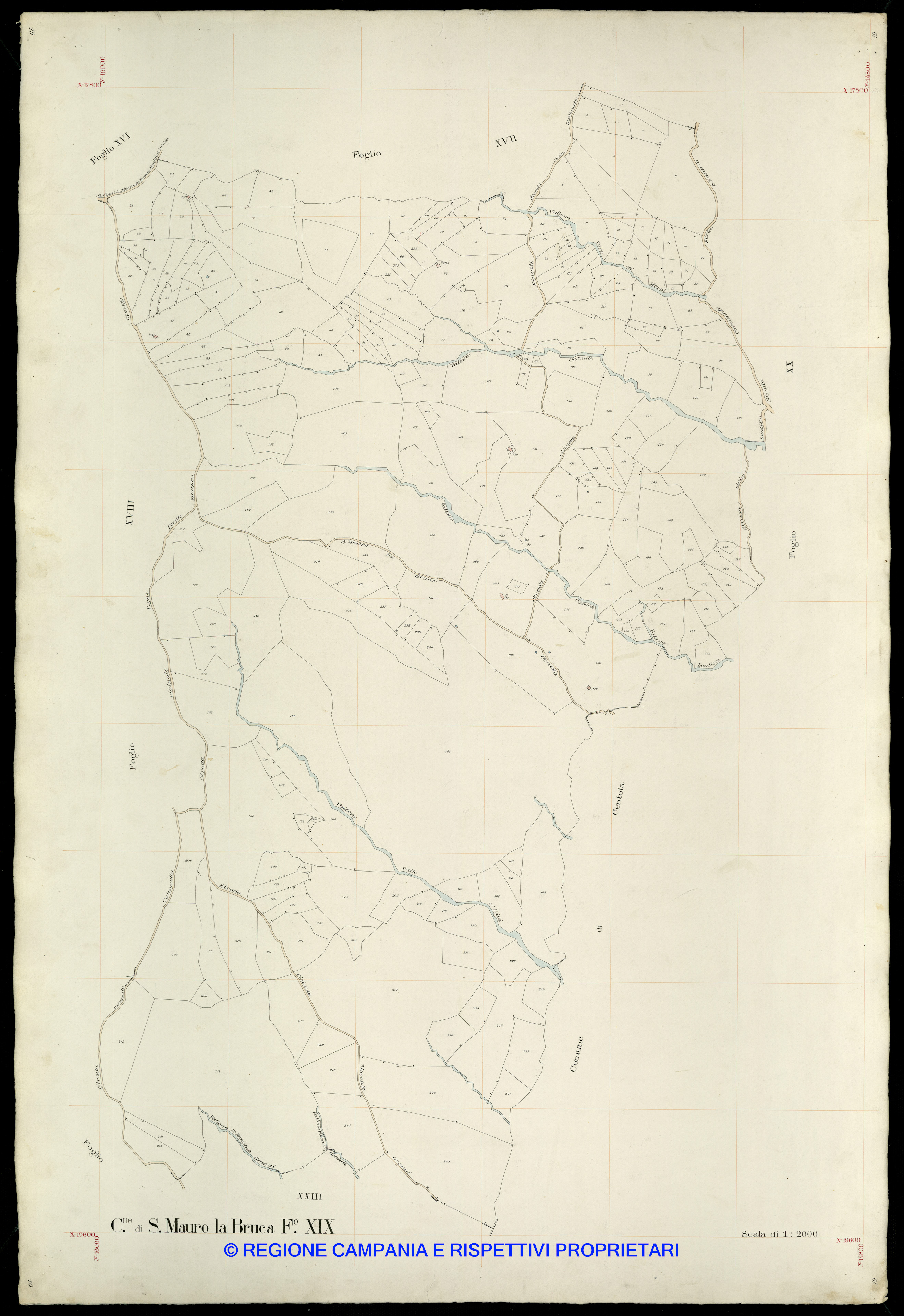 Mappa