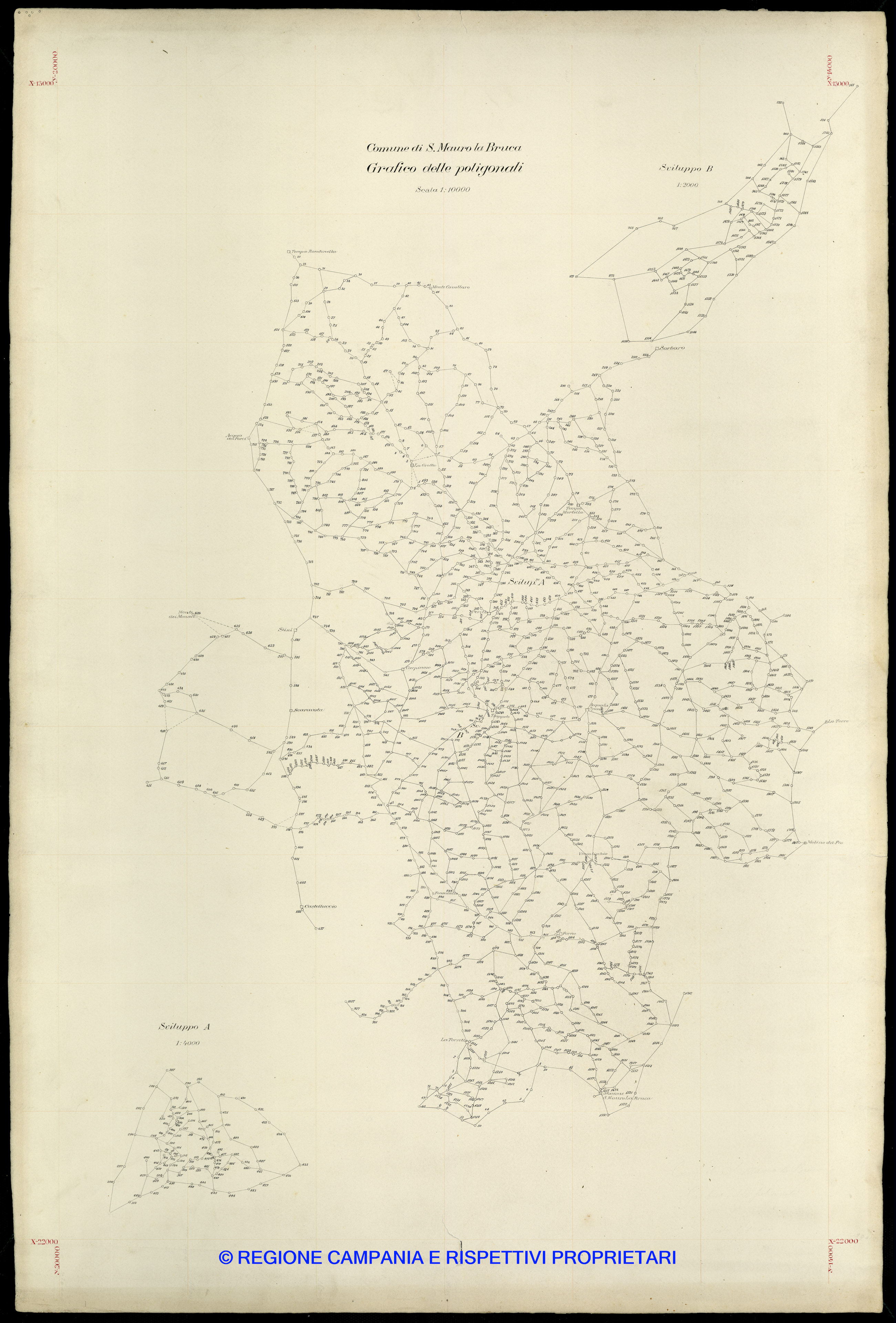 Grafico delle Poligonali