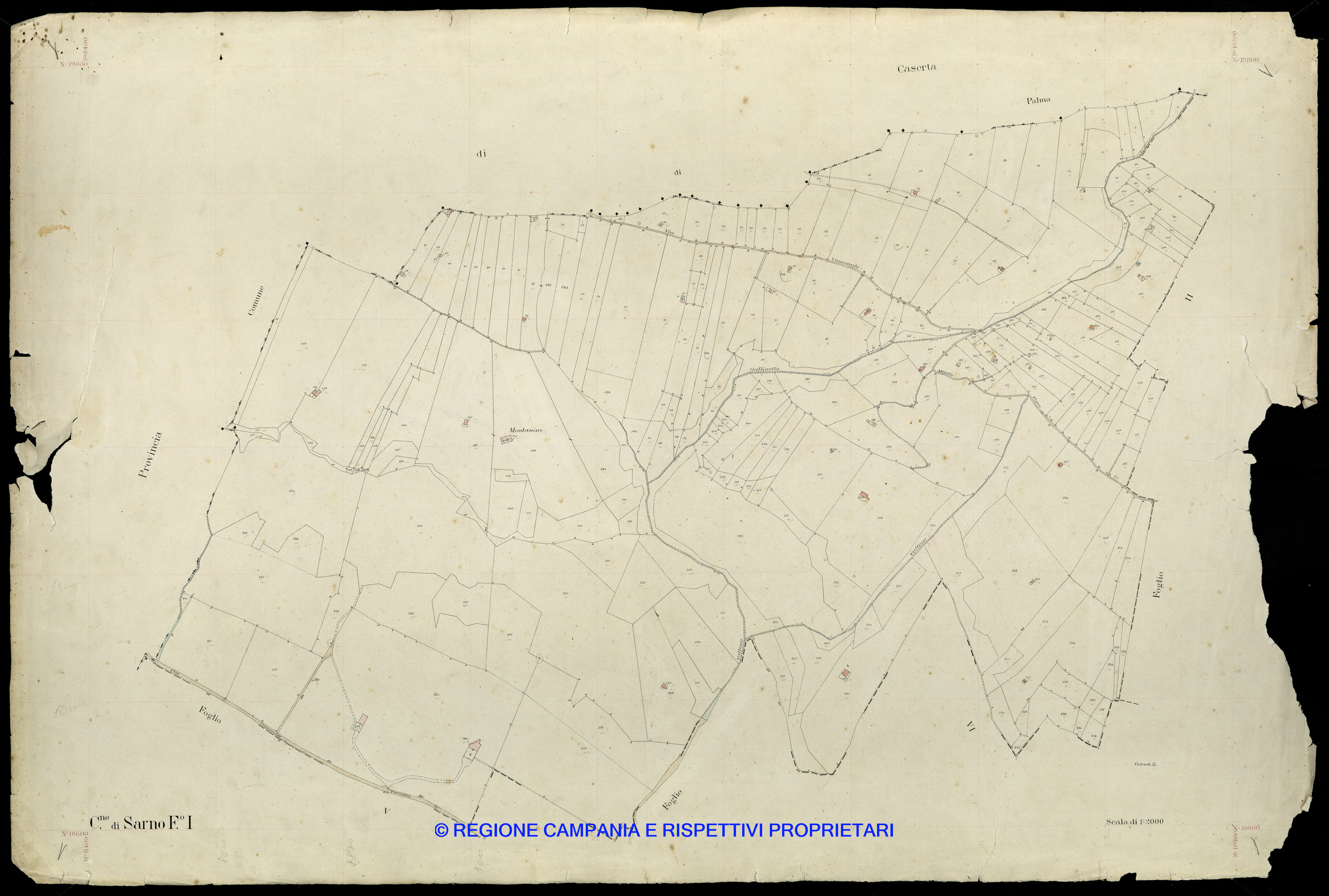 Mappa