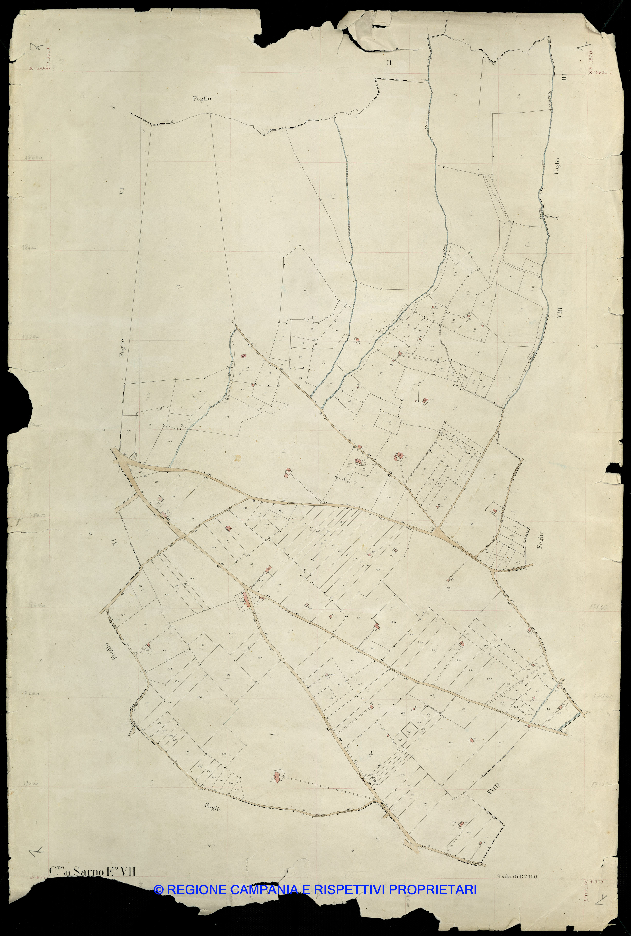Mappa