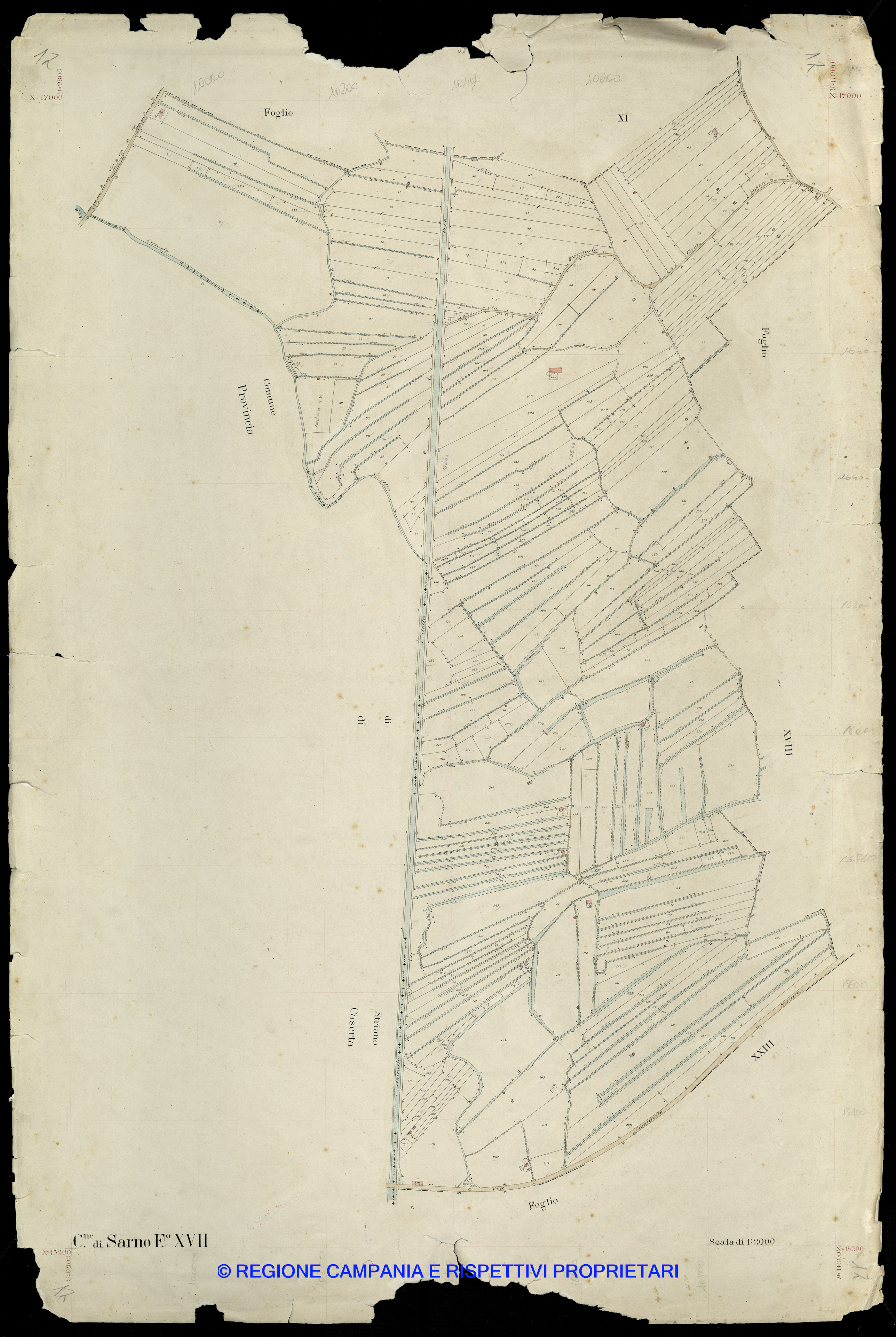 Mappa
