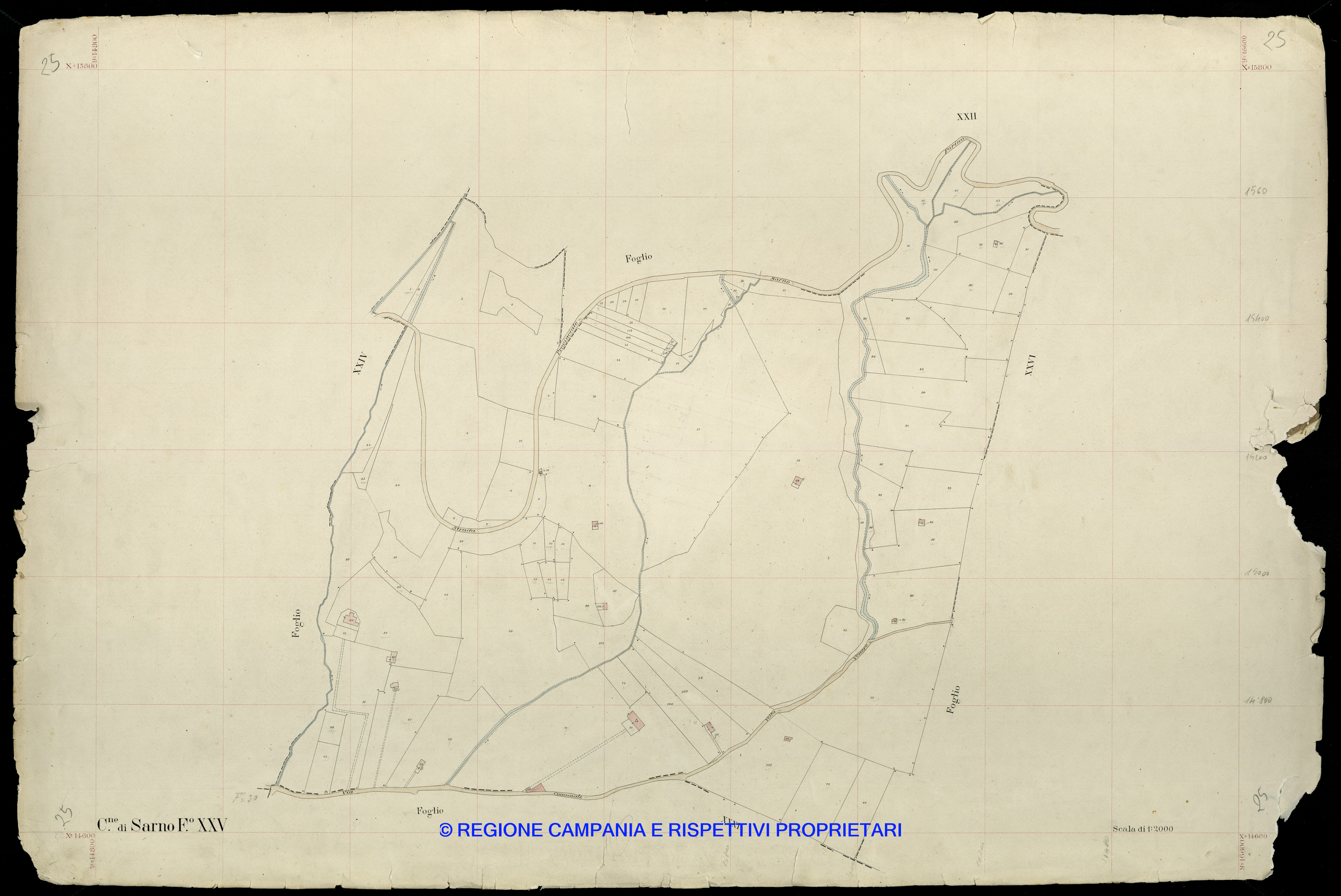 Mappa