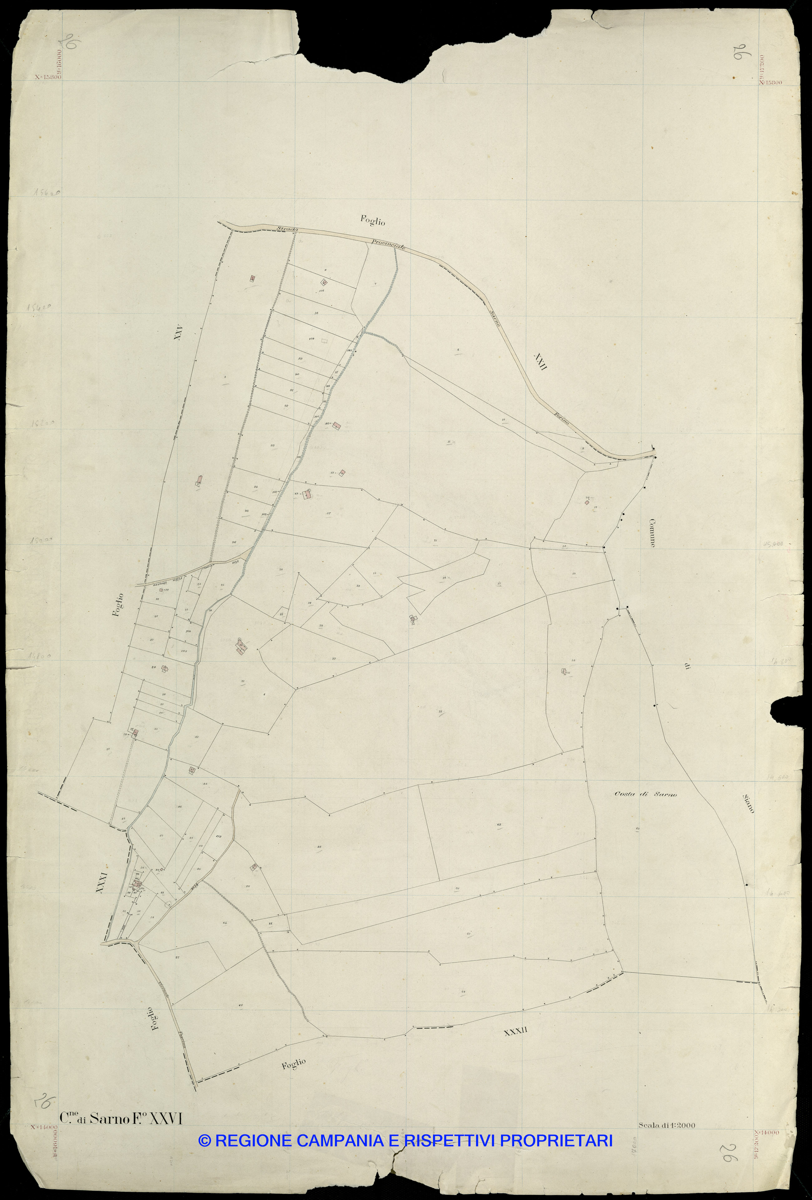Mappa