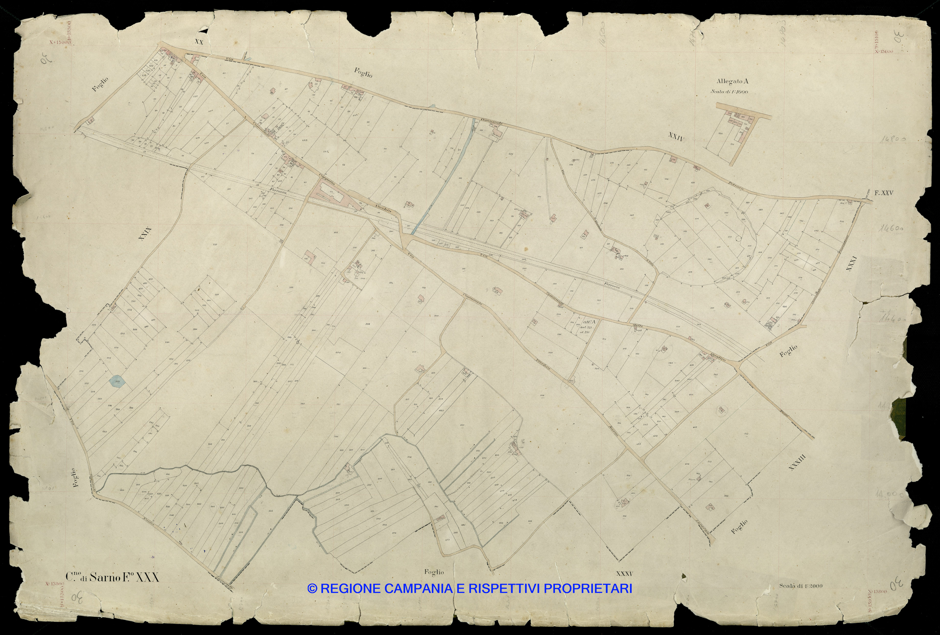 Mappa
