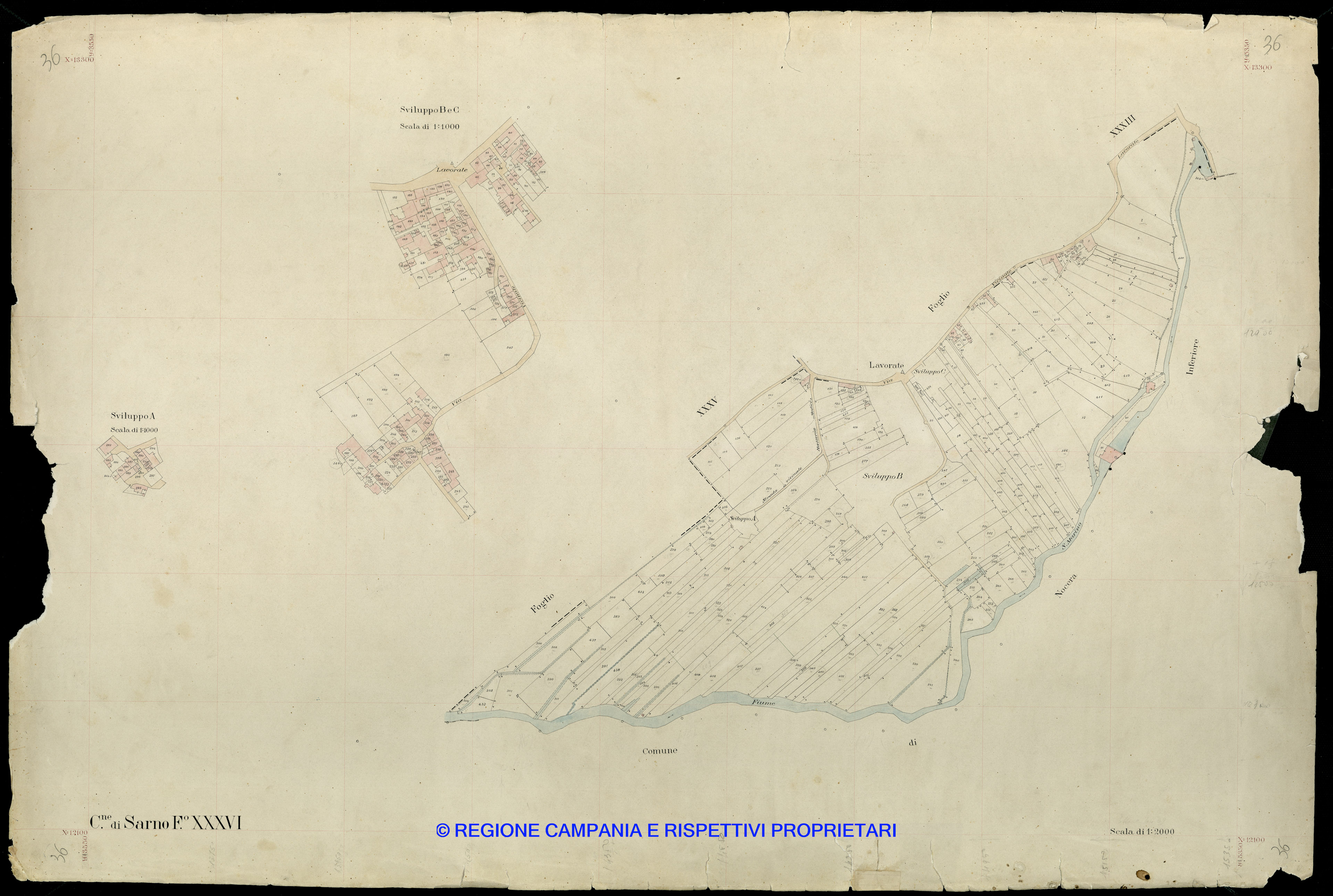 Mappa