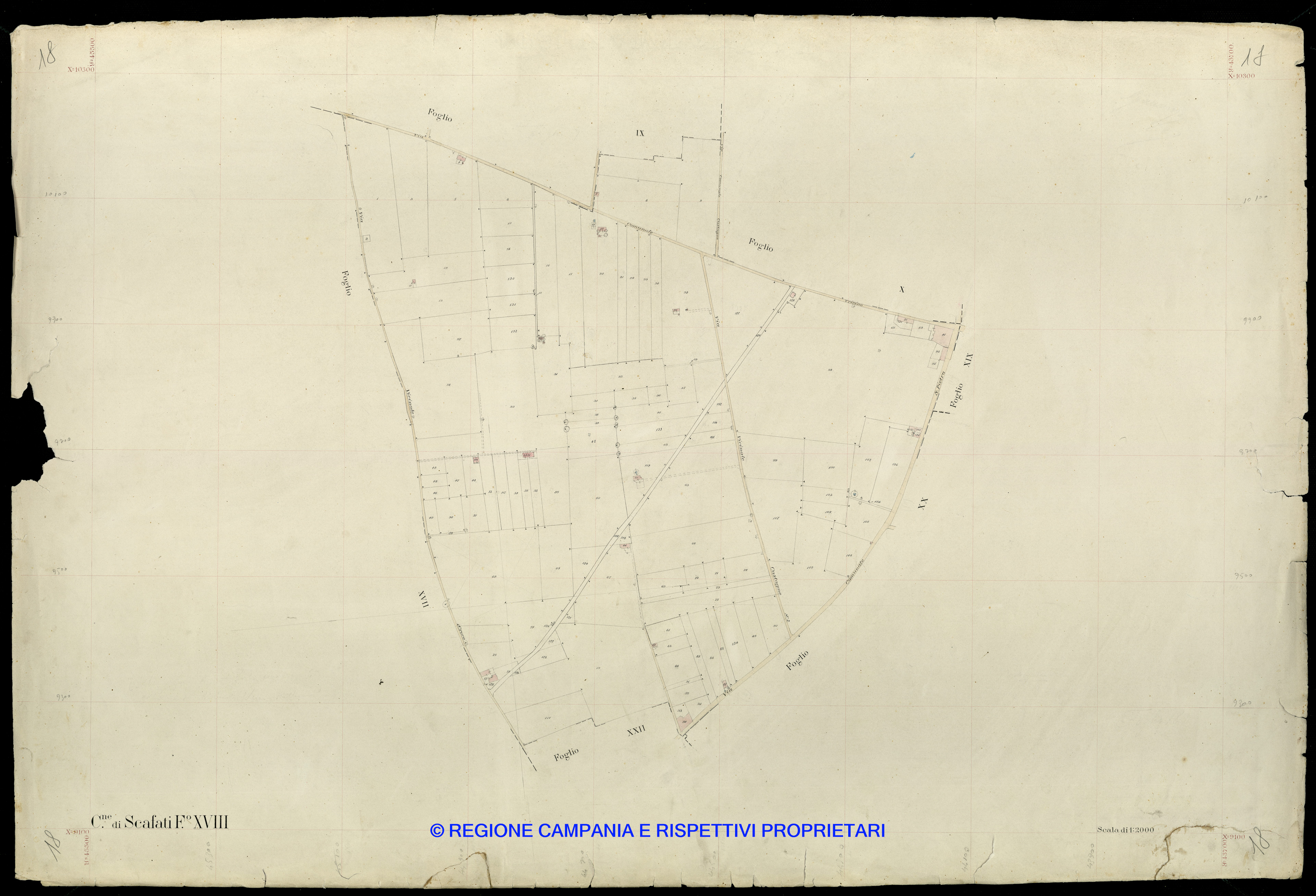 Mappa