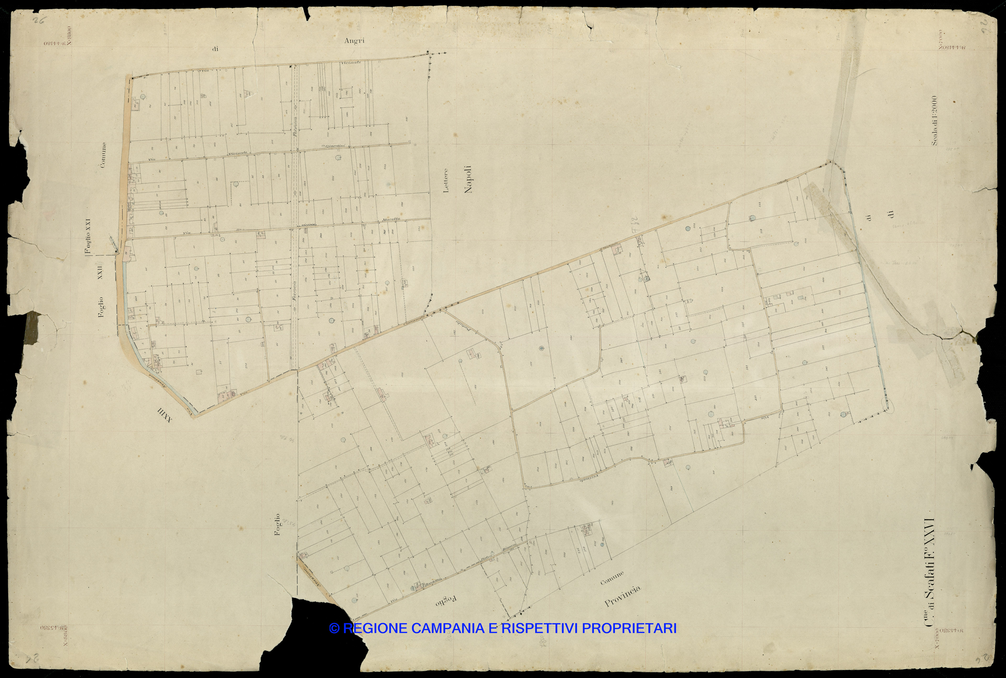 Mappa