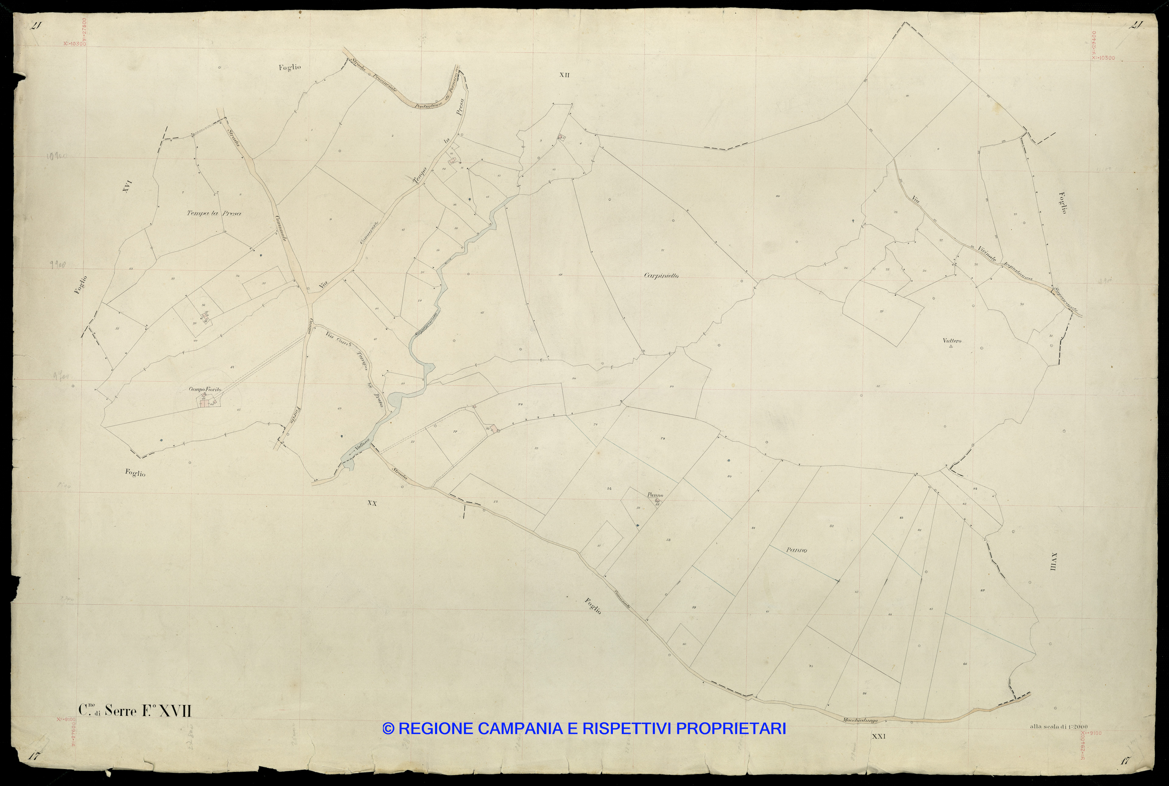 Mappa