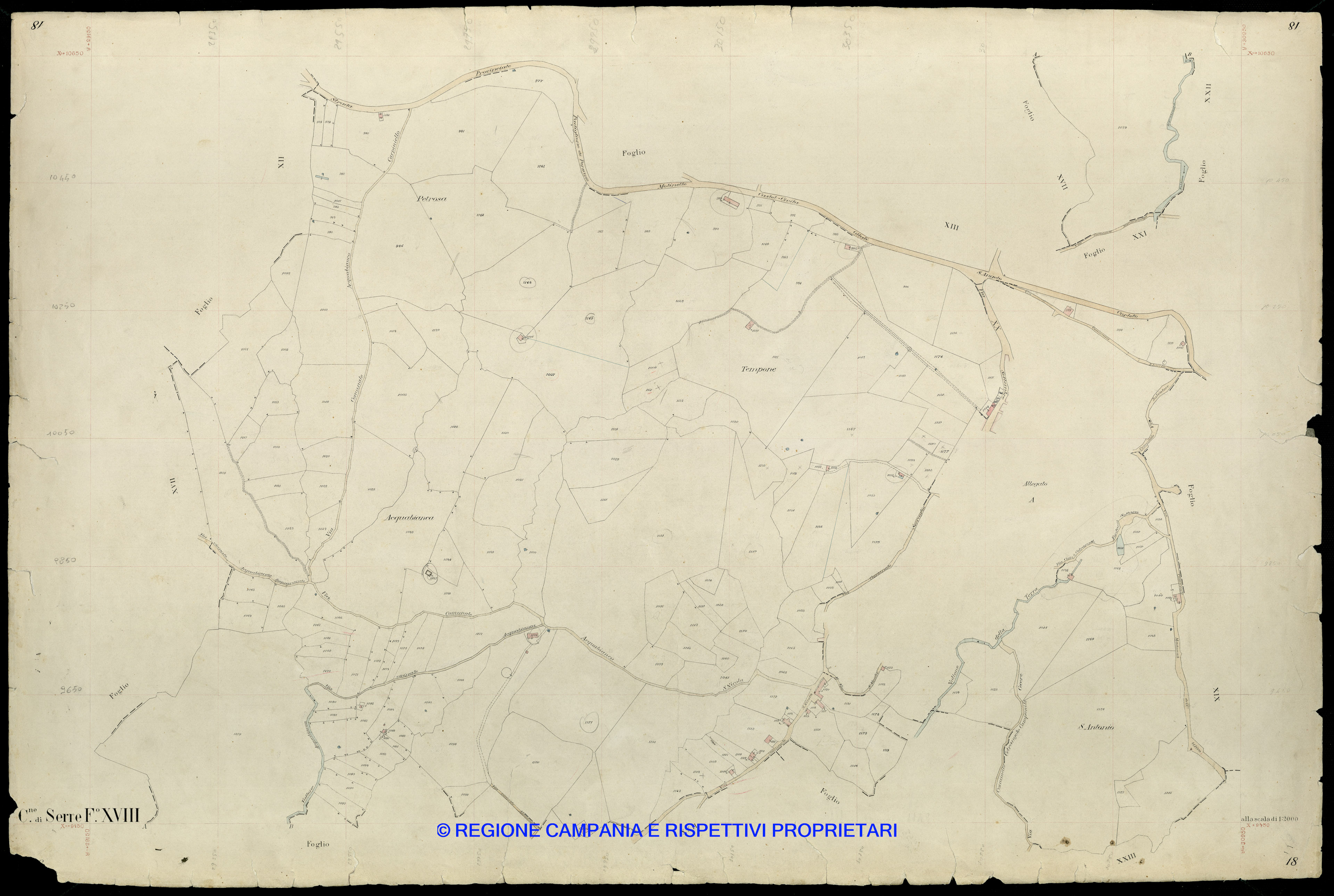 Mappa