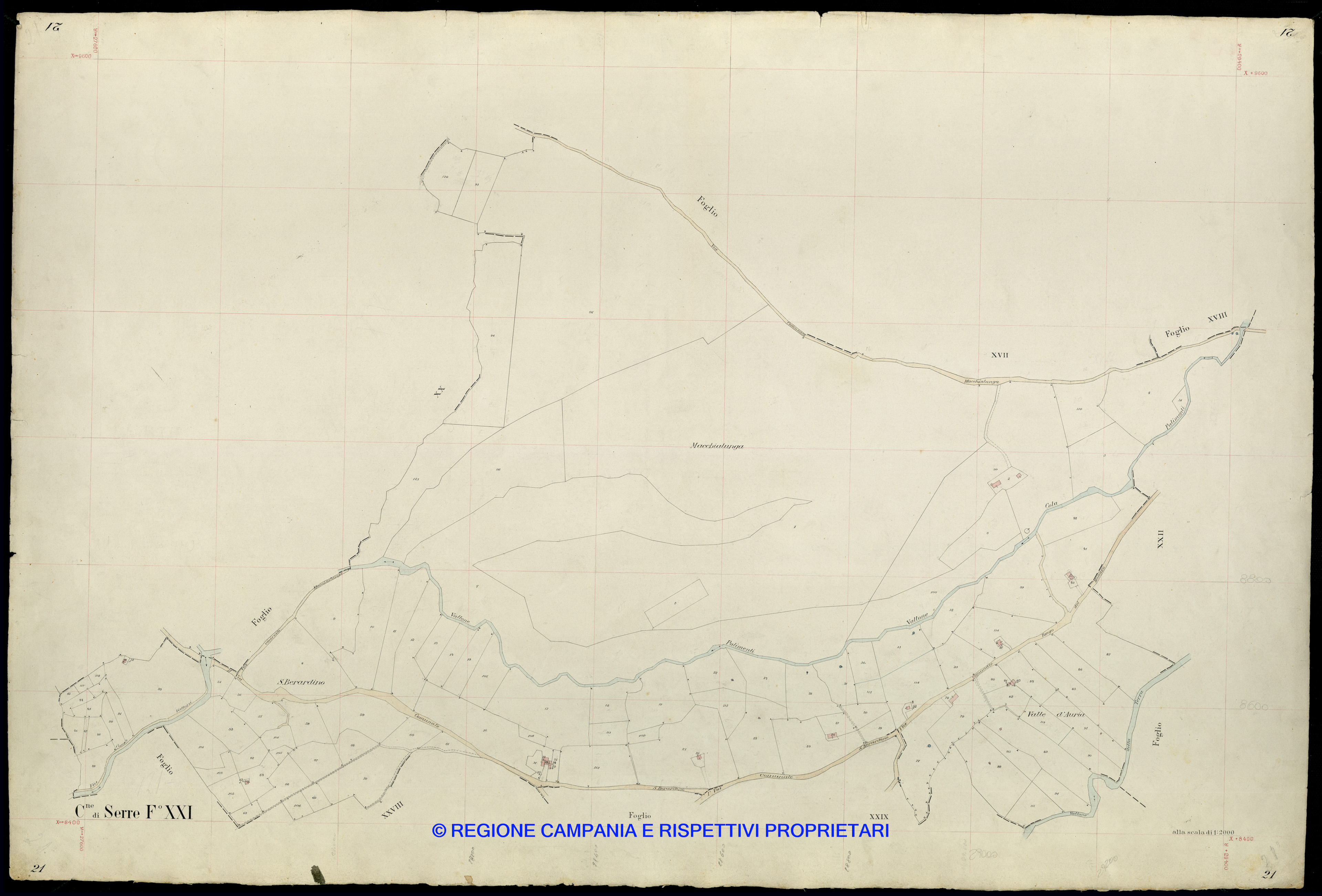 Mappa