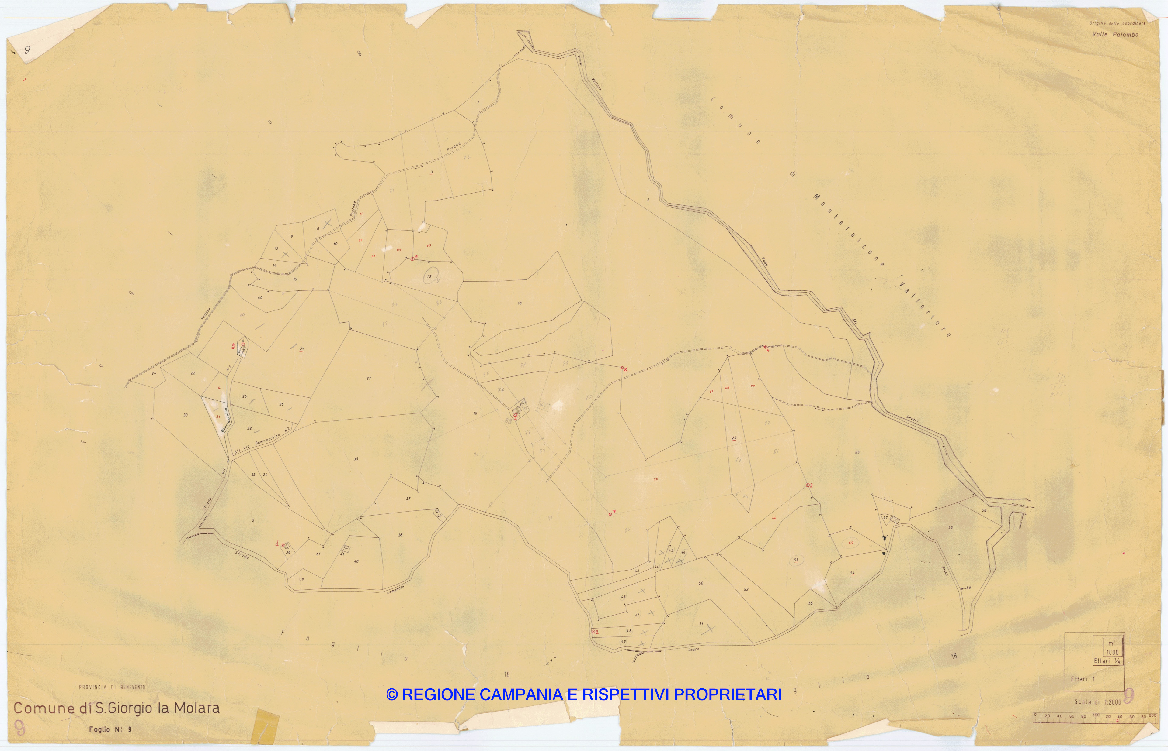 Mappa