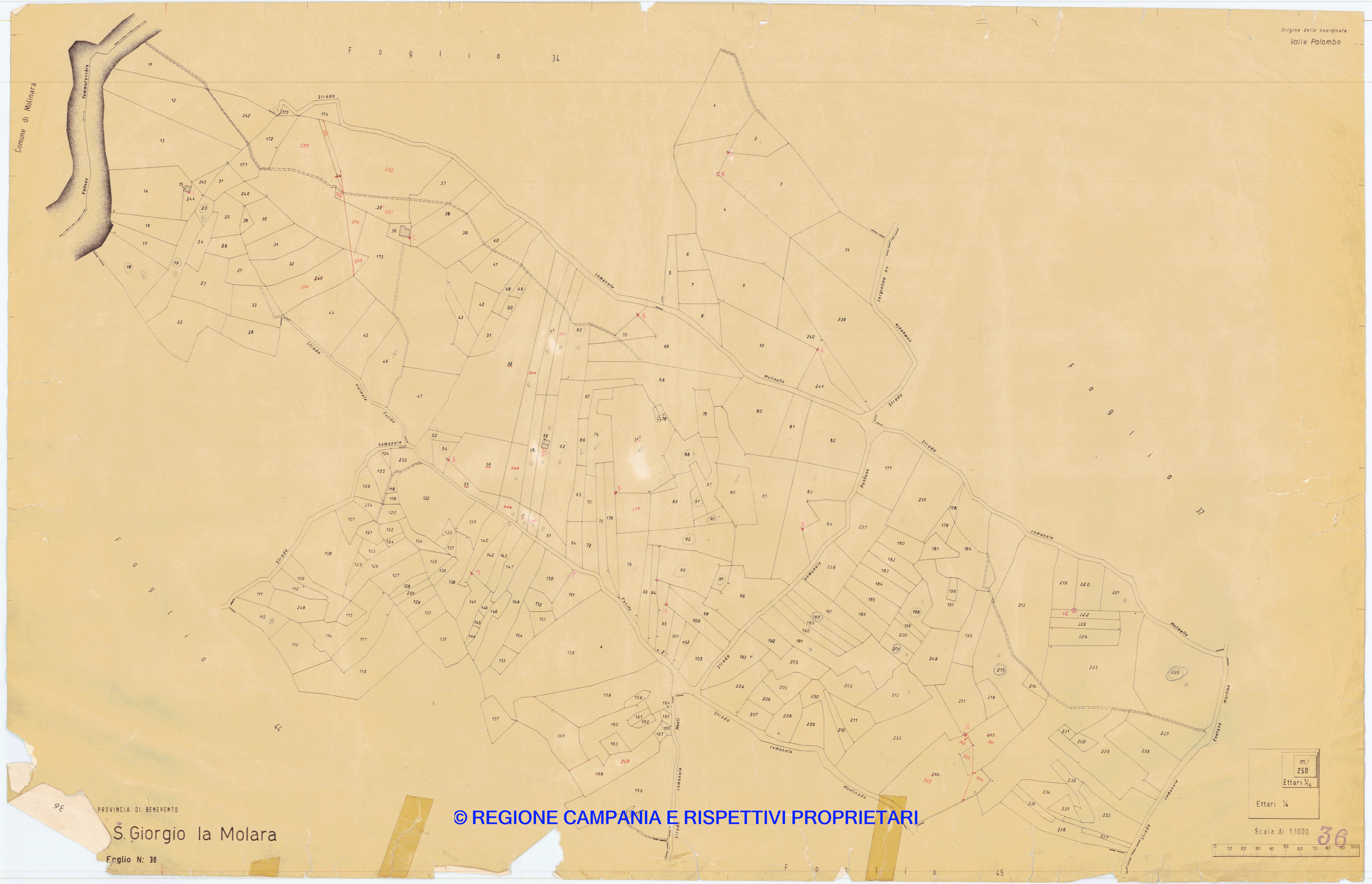Mappa