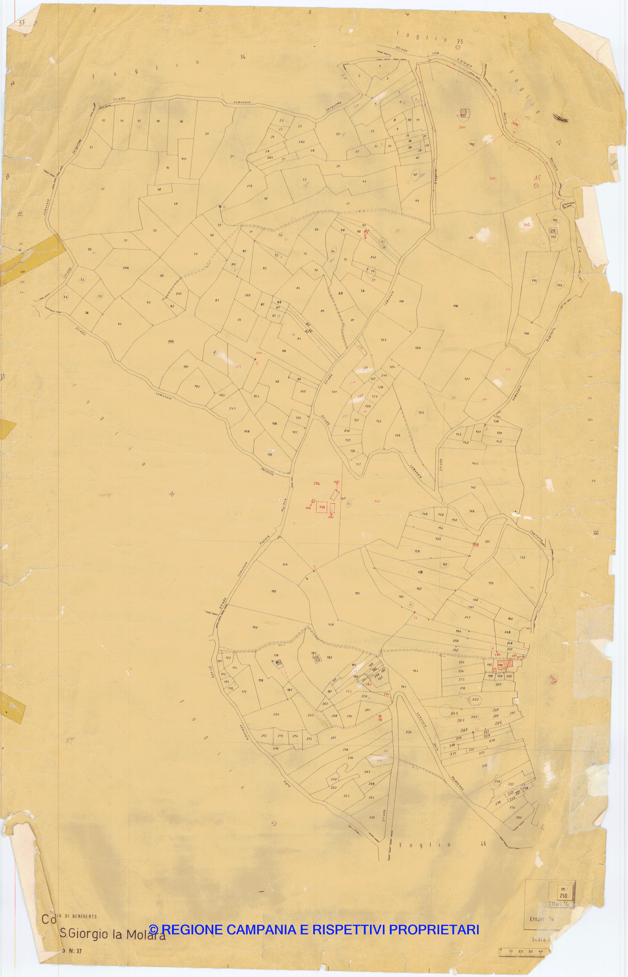Mappa Mappa