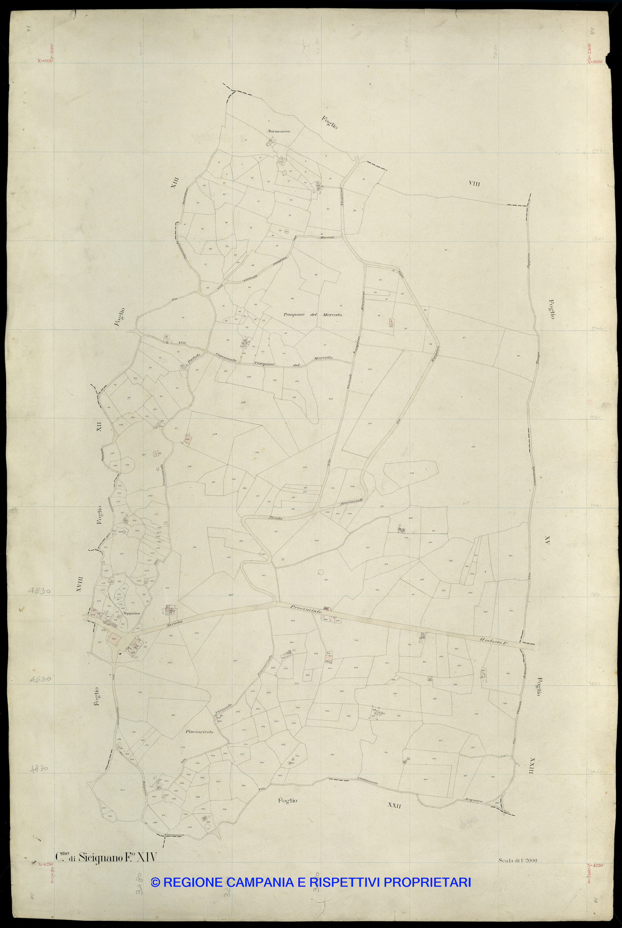 Mappa