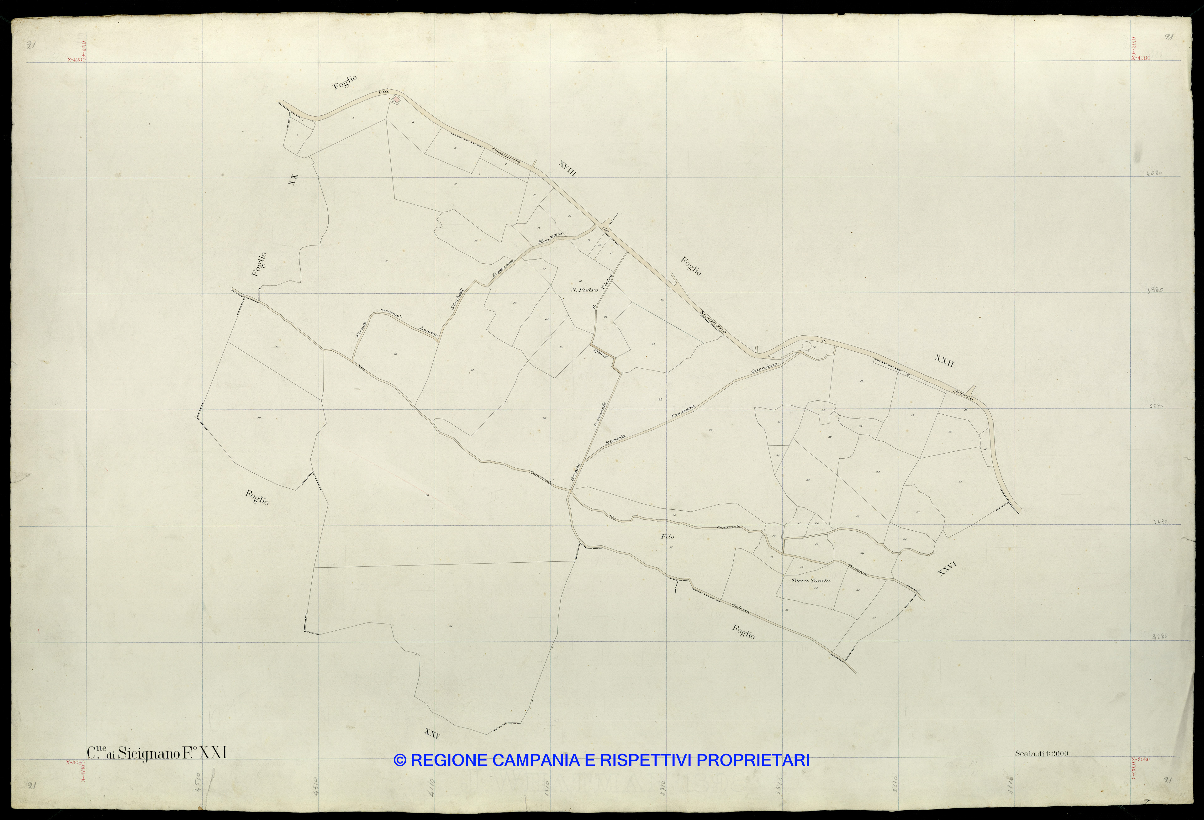 Mappa