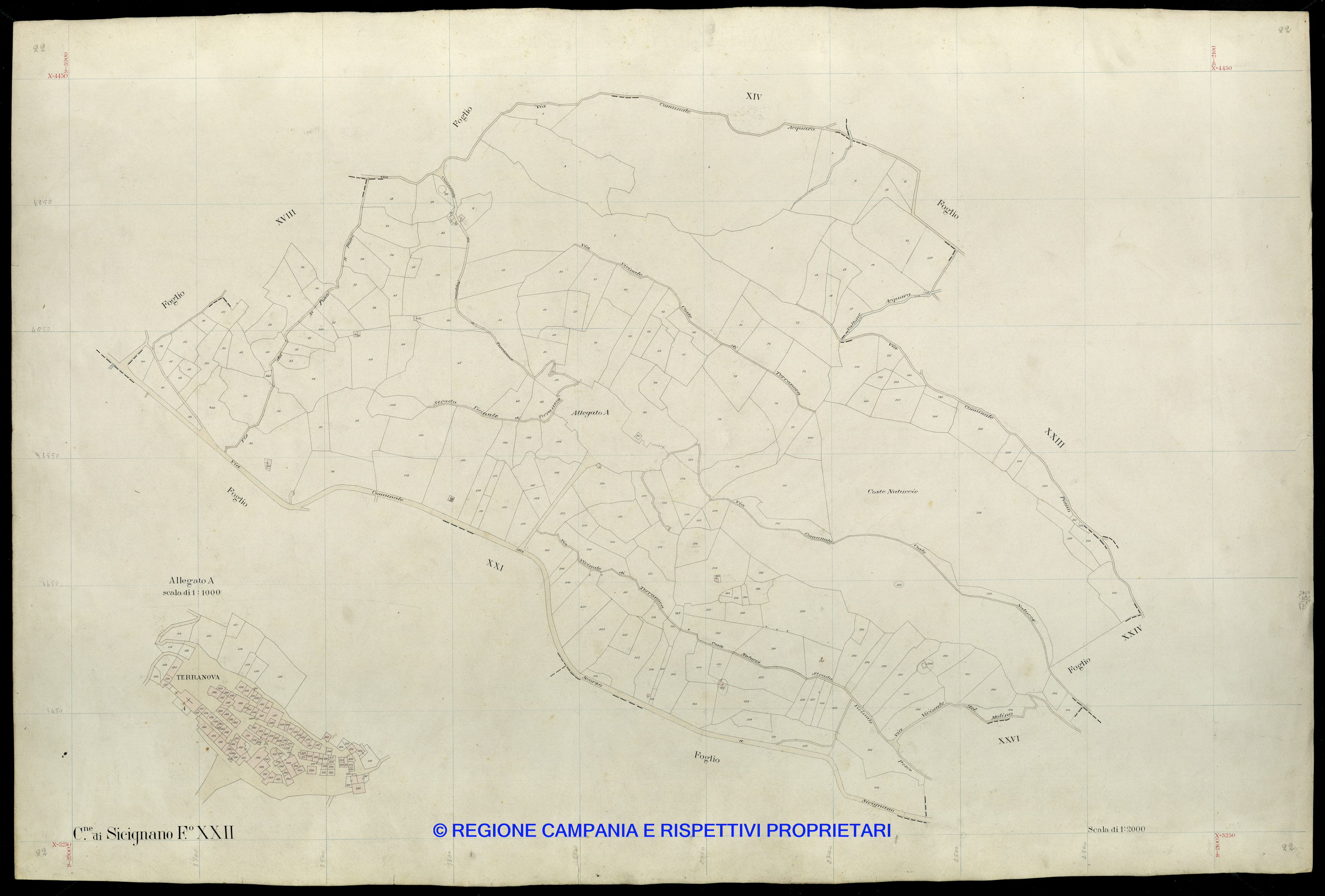 Mappa