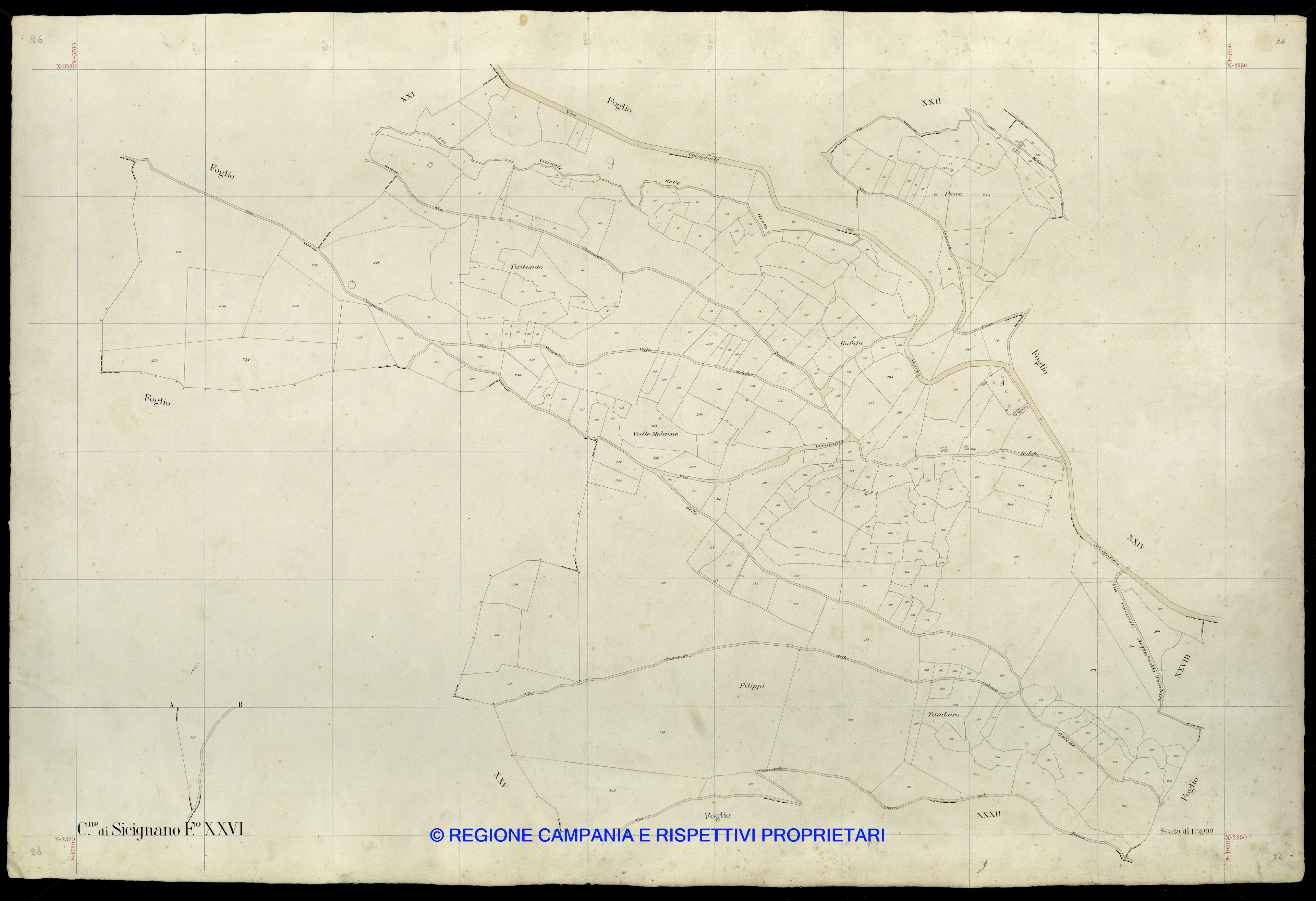 Mappa