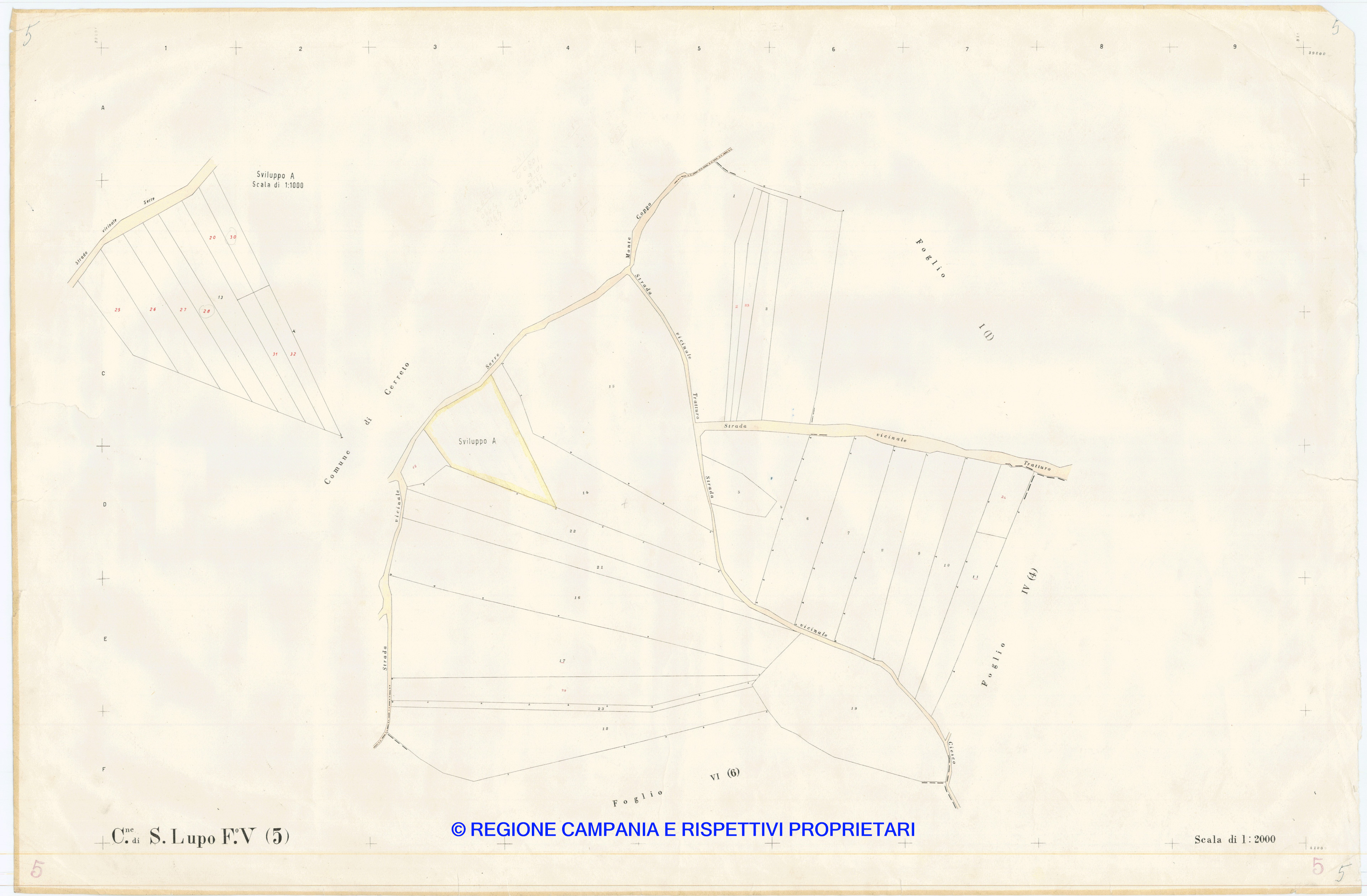 Mappa