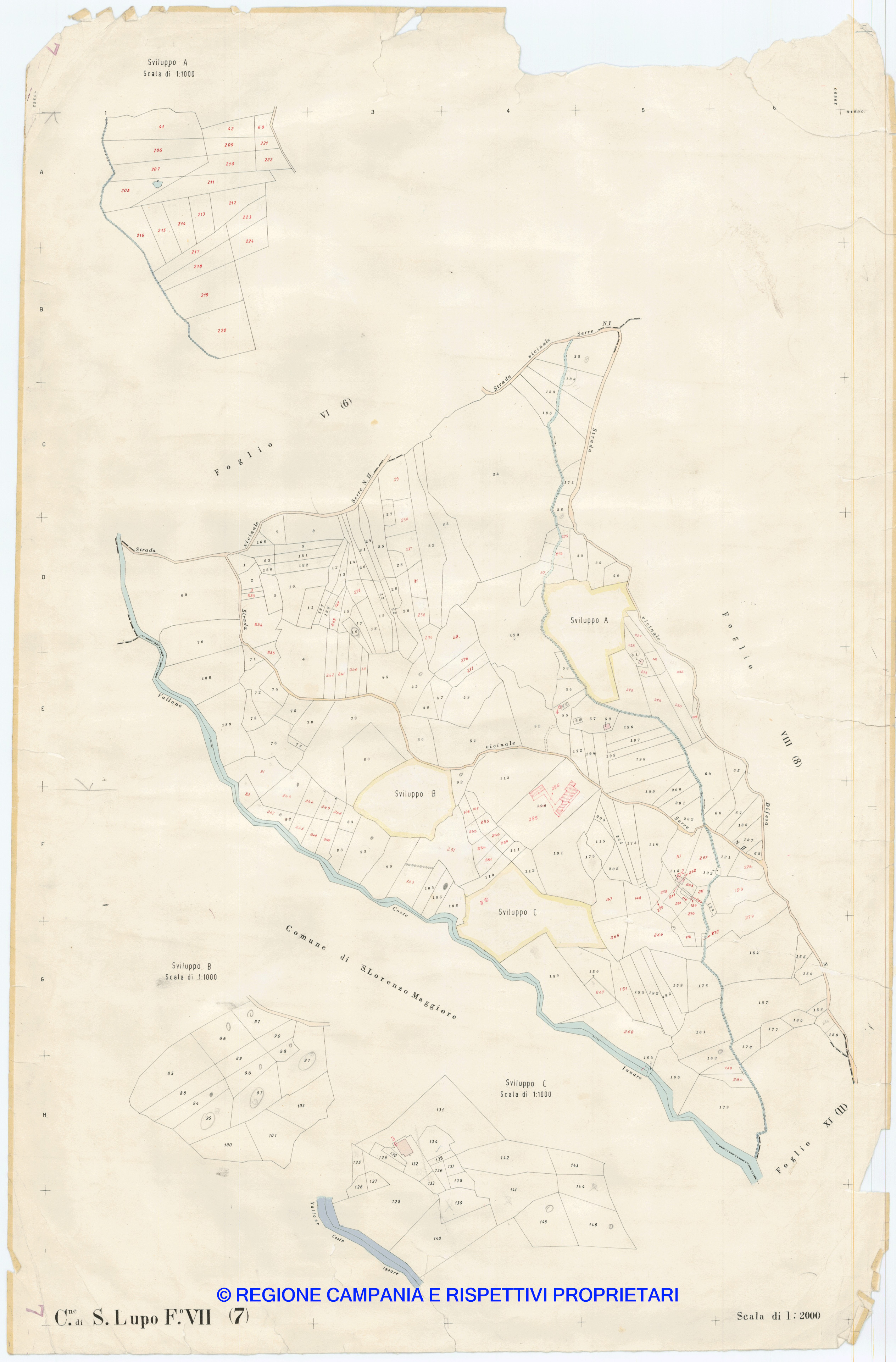 Mappa