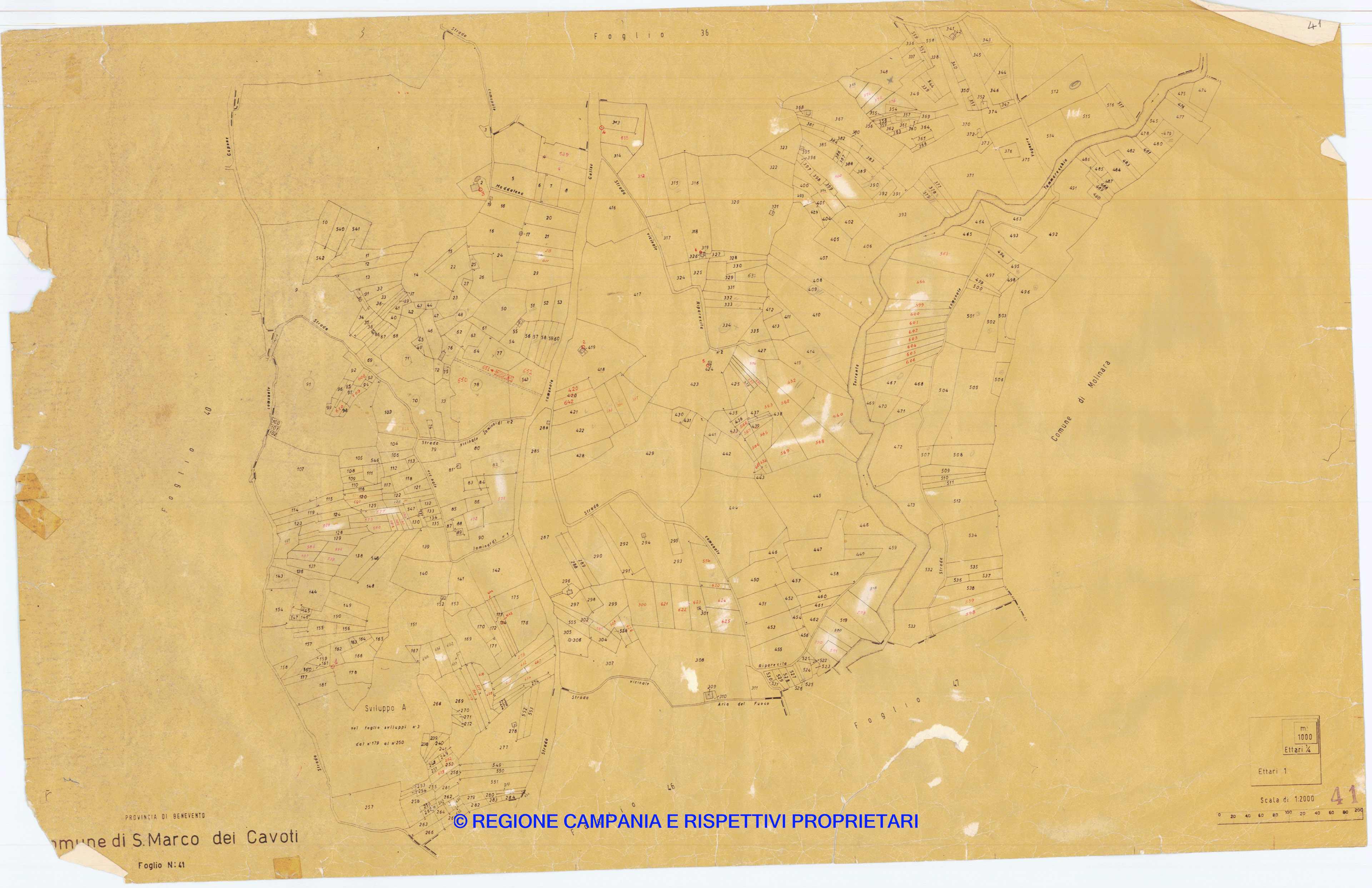 Mappa