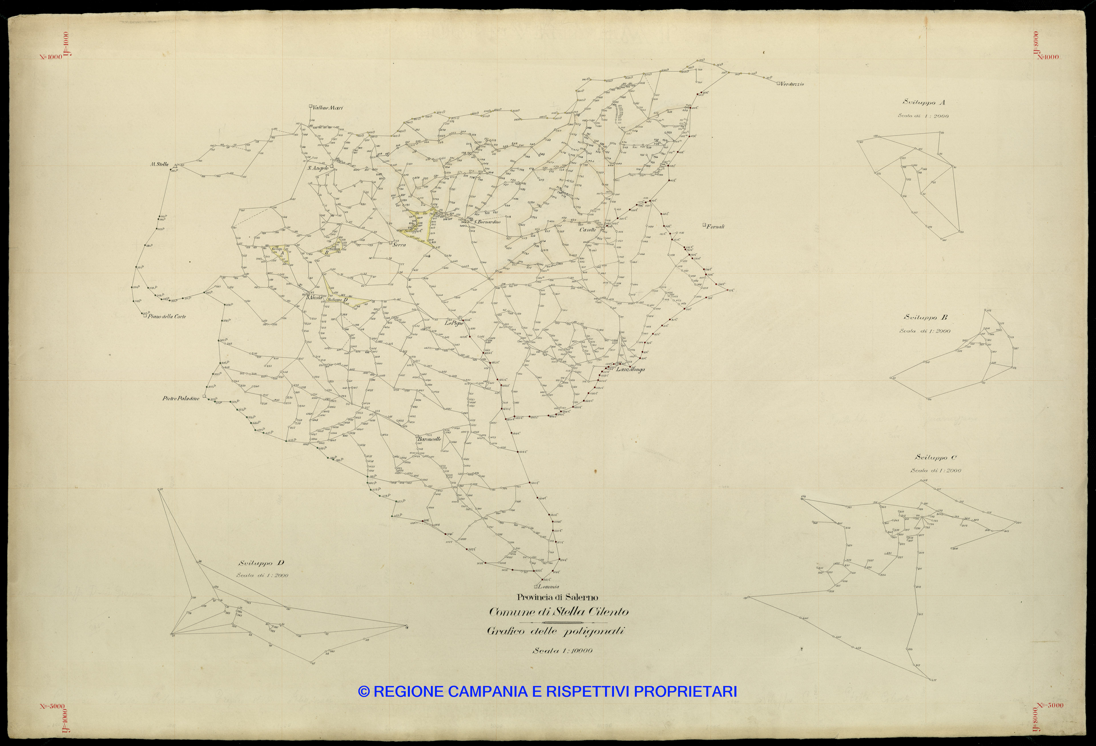 Grafico delle Poligonali