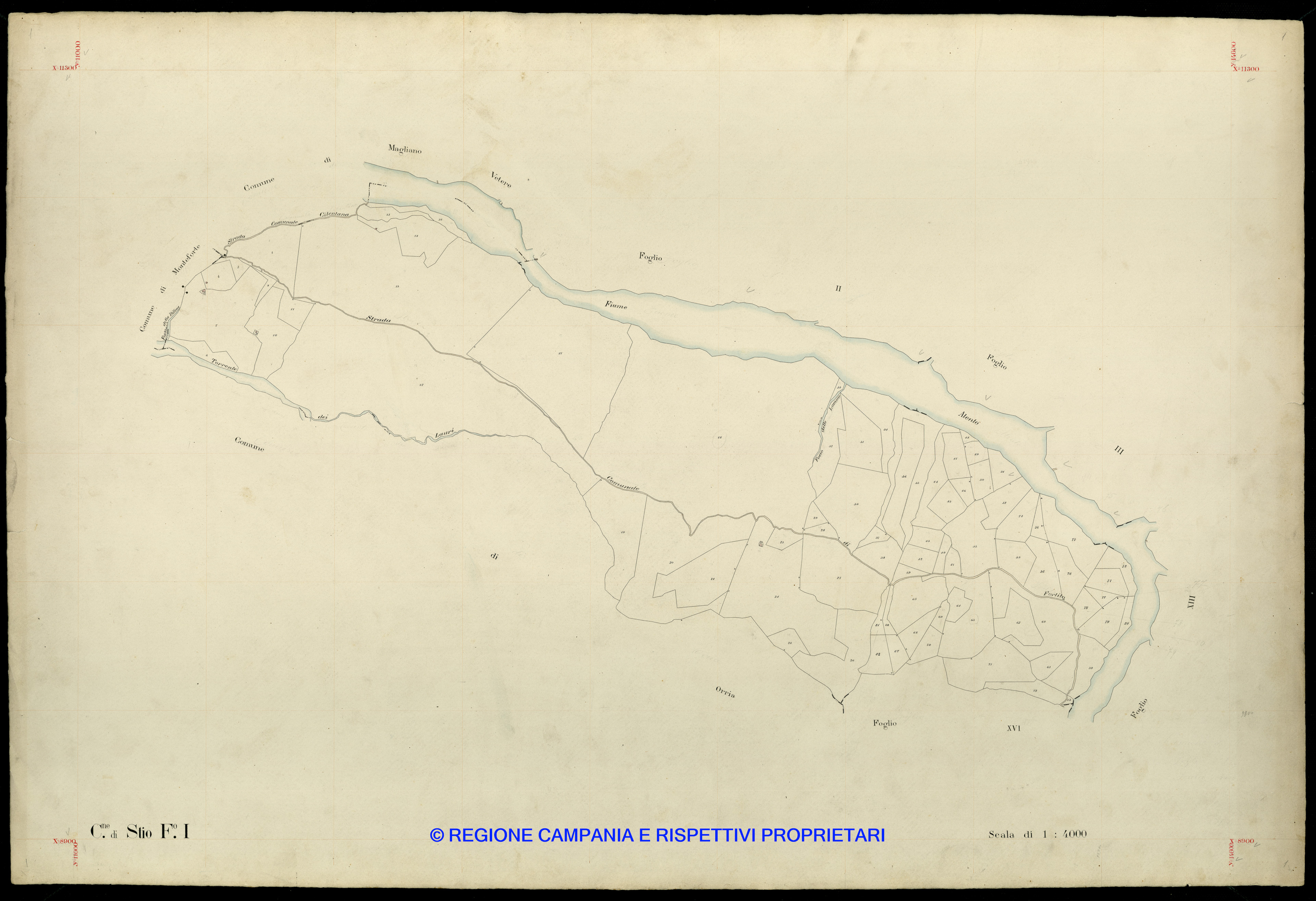 Mappa