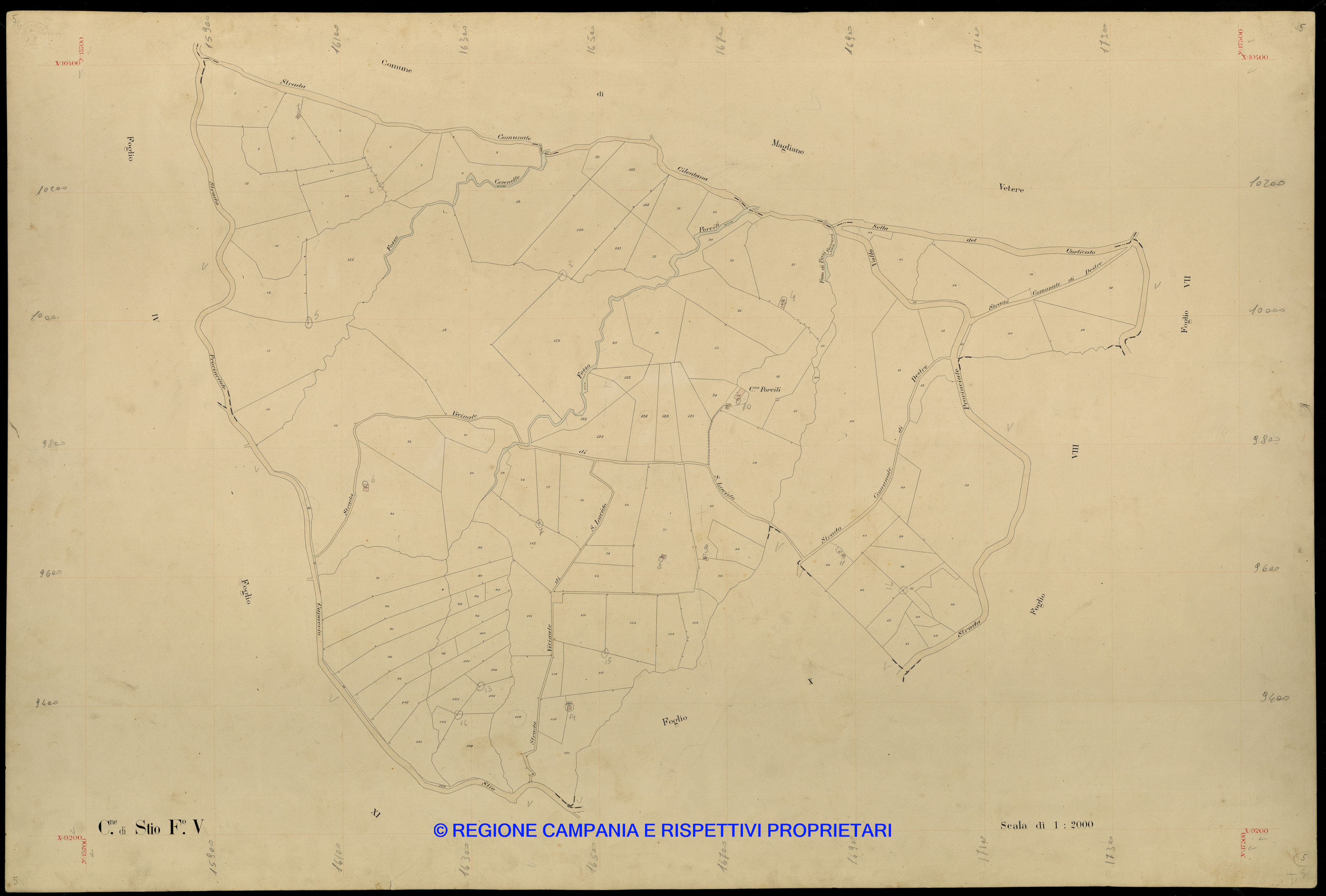 Mappa