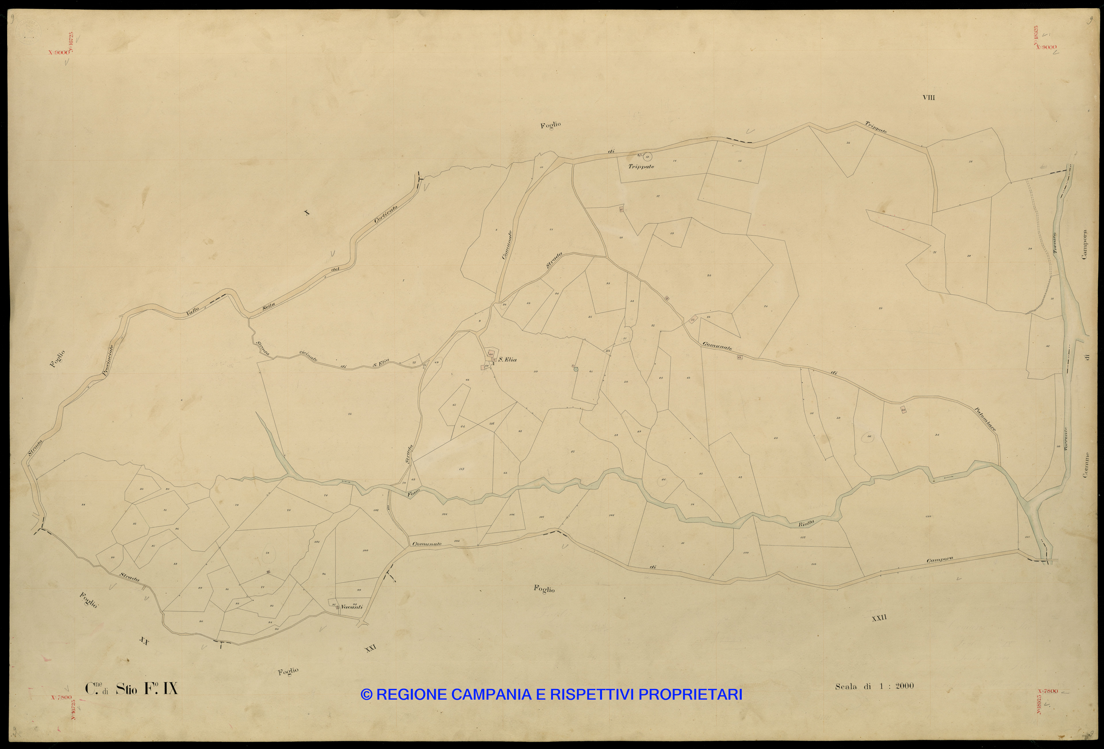 Mappa