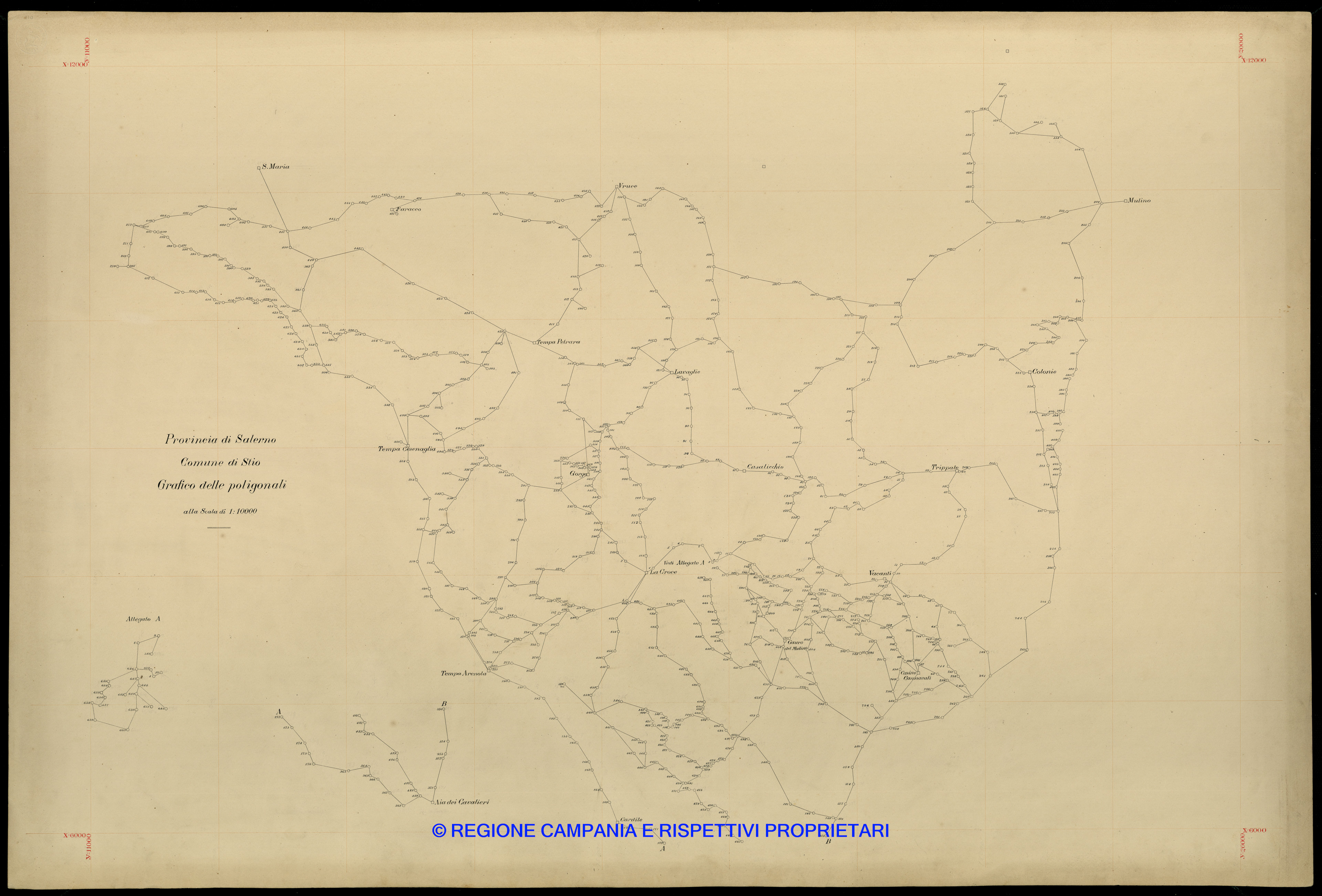 Grafico delle Poligonali