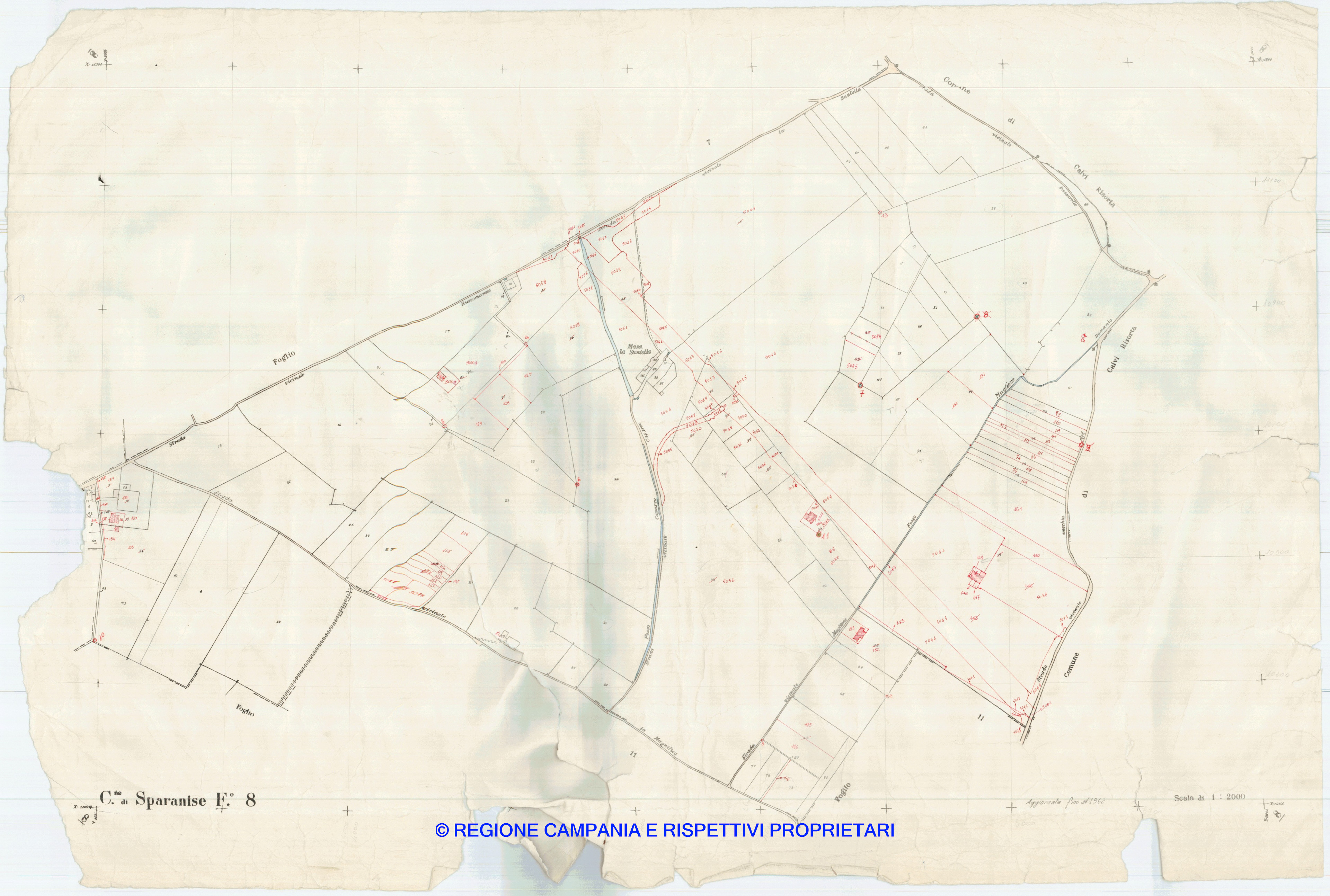 Mappa