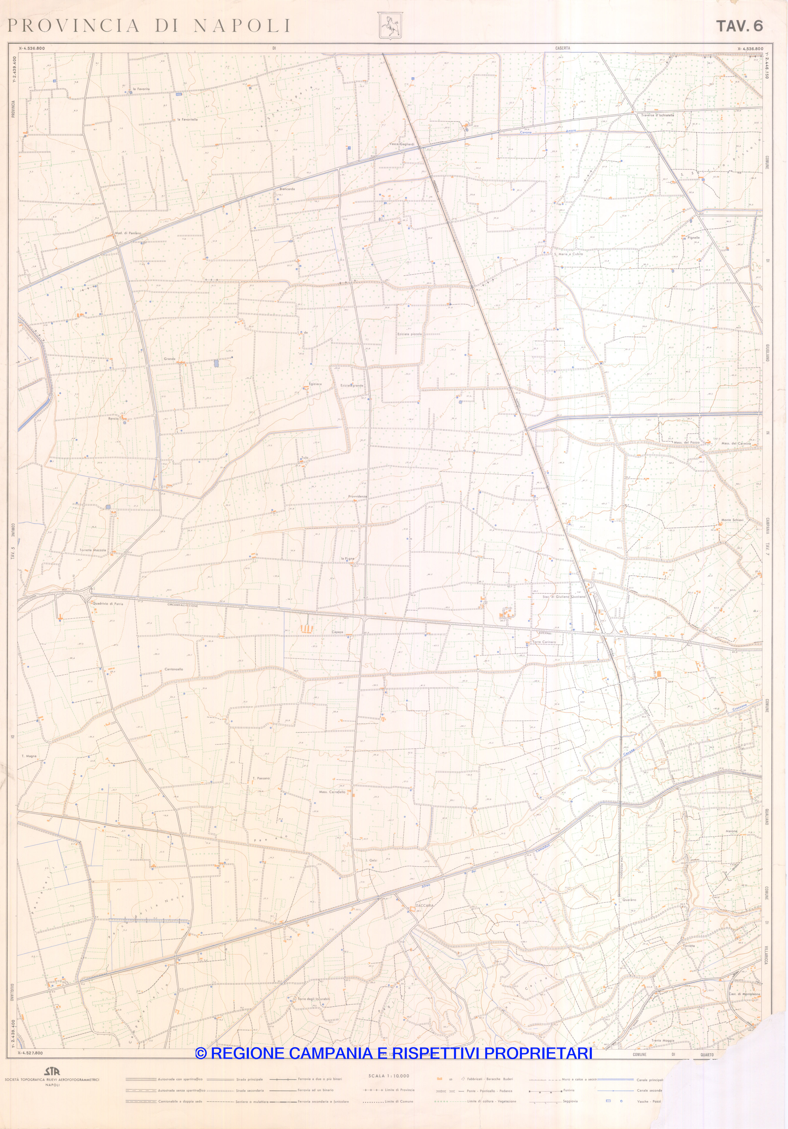 Tav. 6