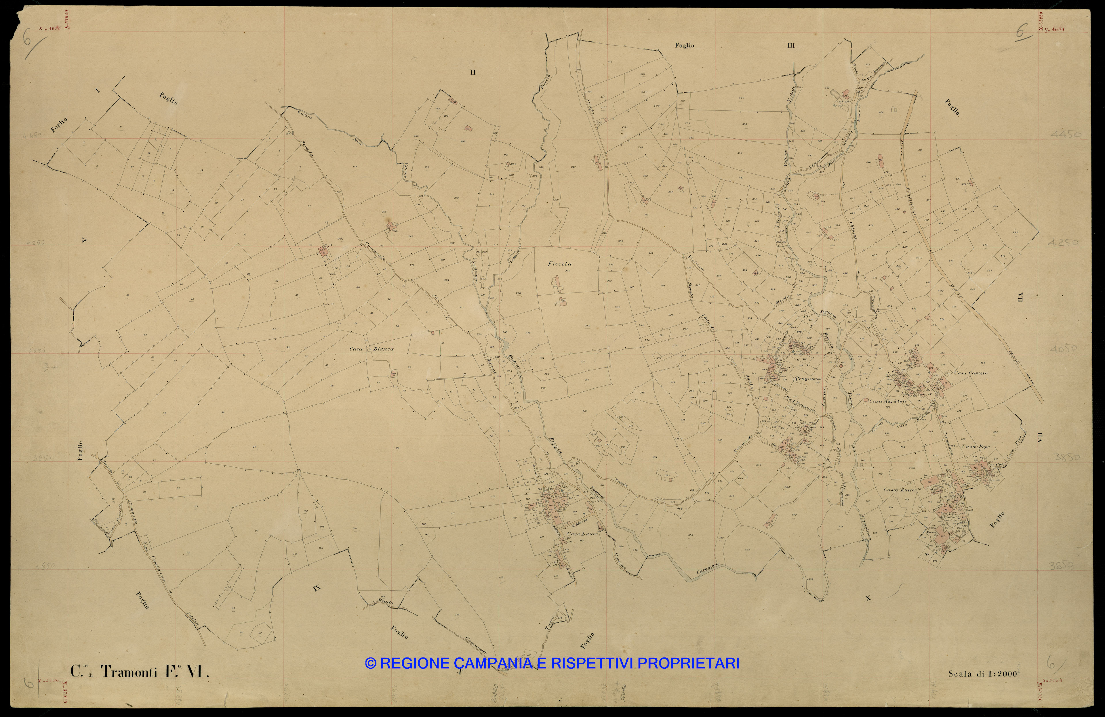 Mappa