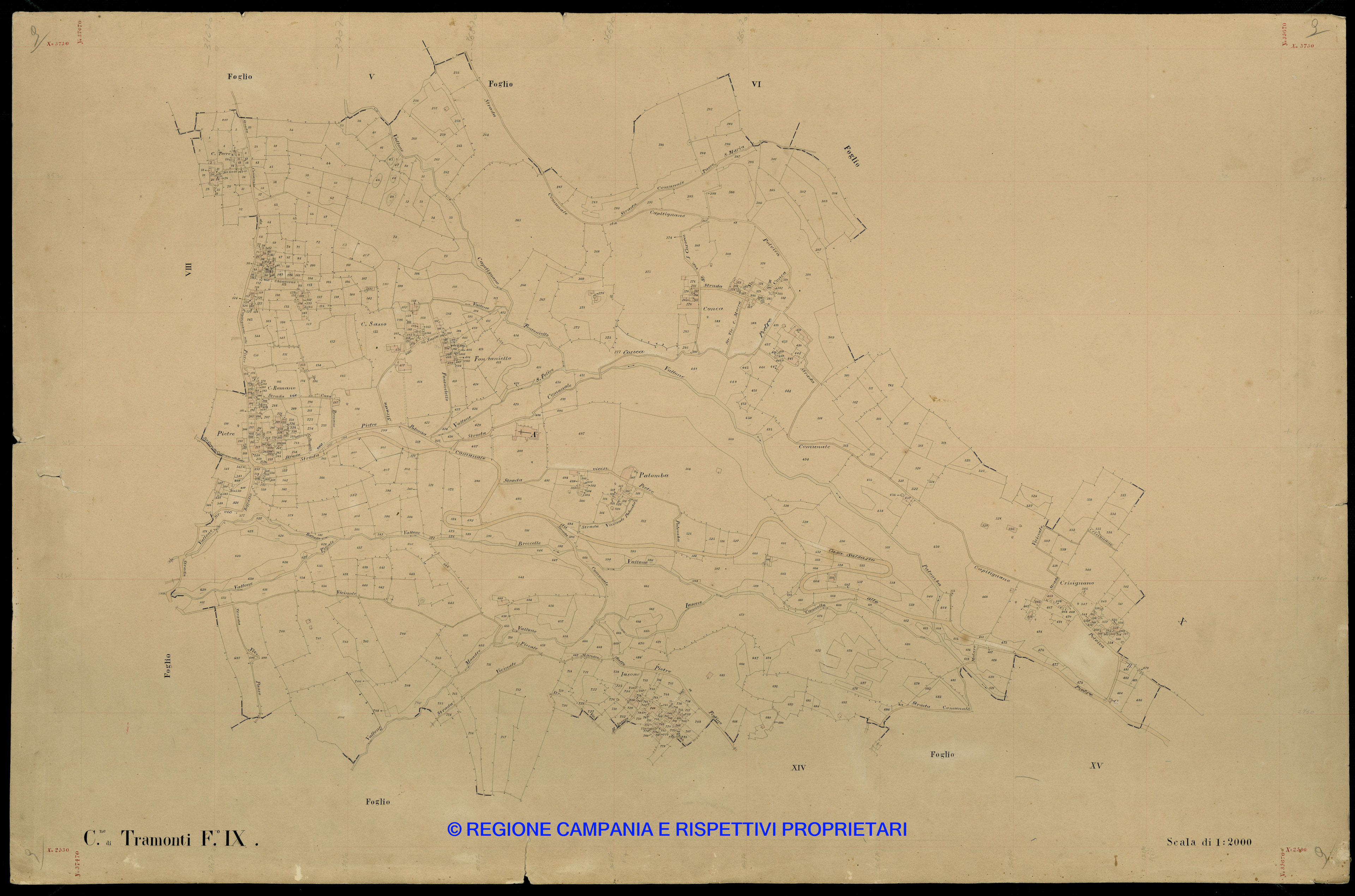 Mappa