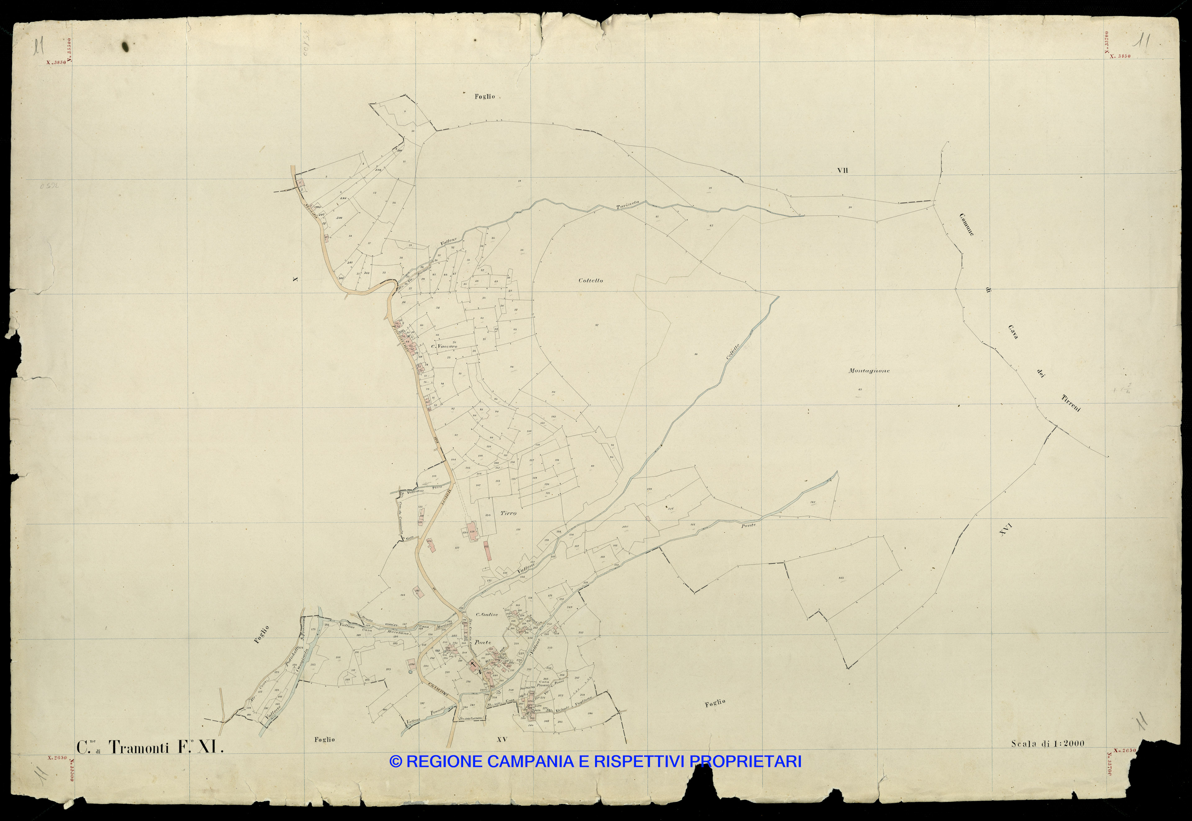Mappa