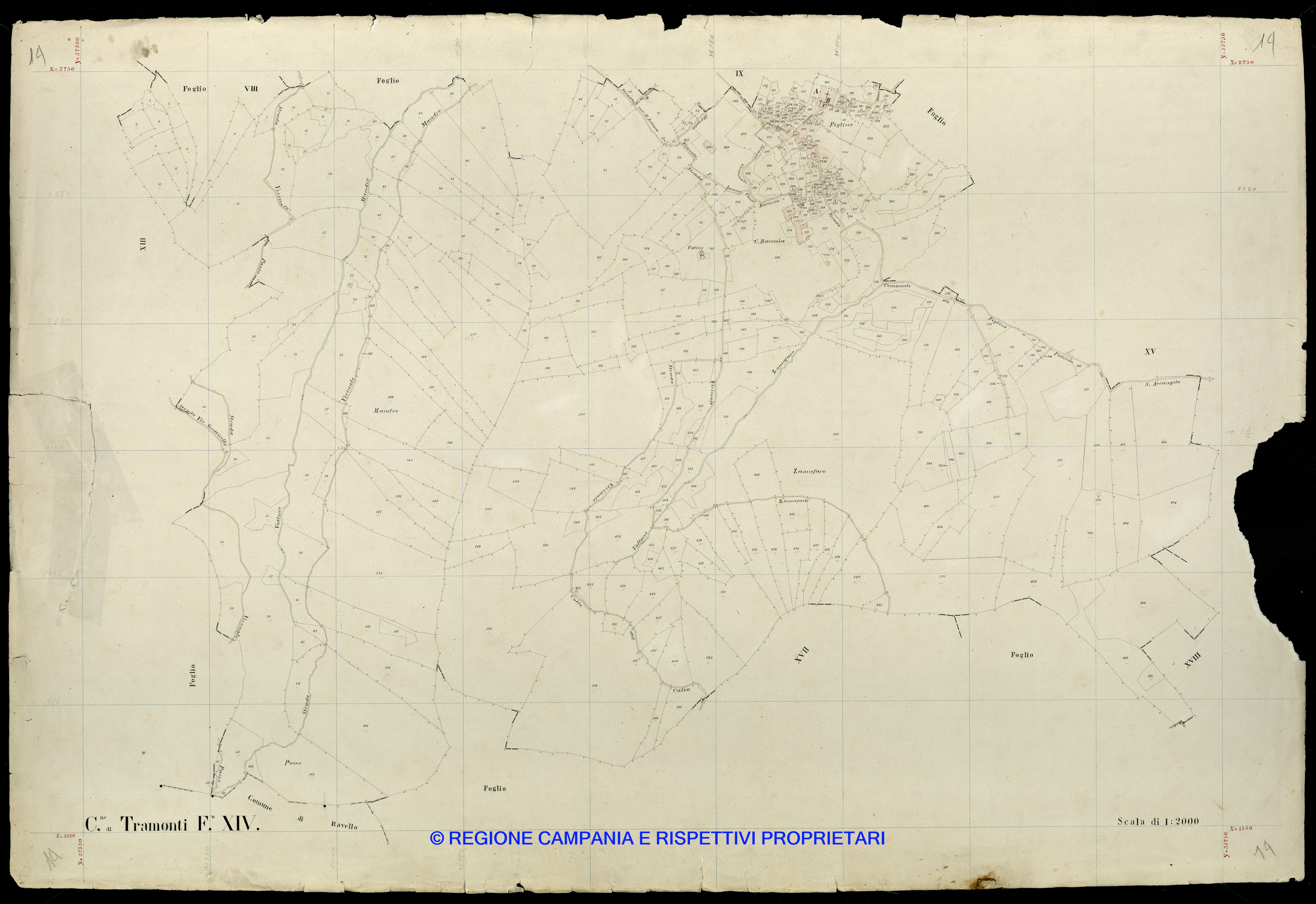 Mappa