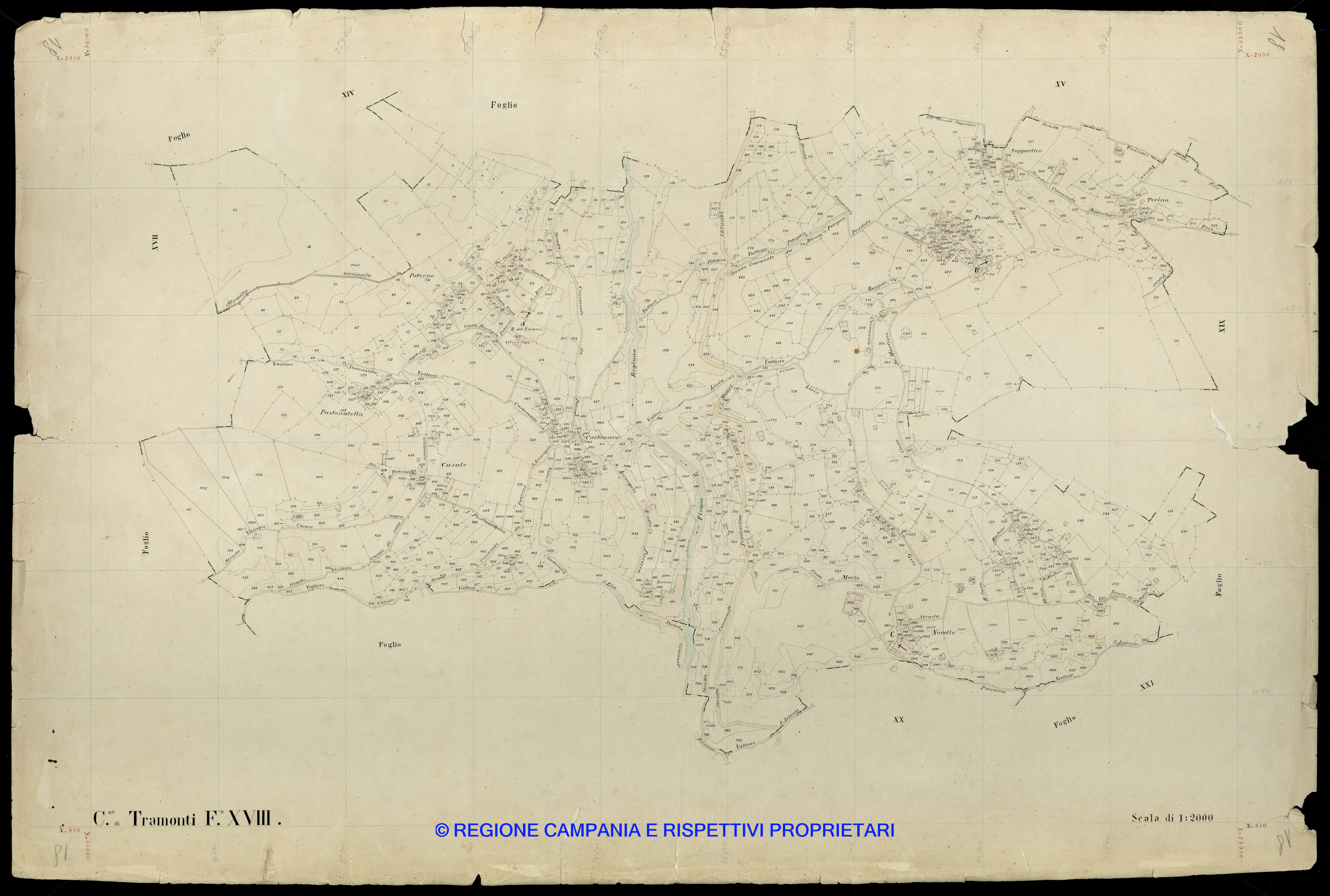 Mappa