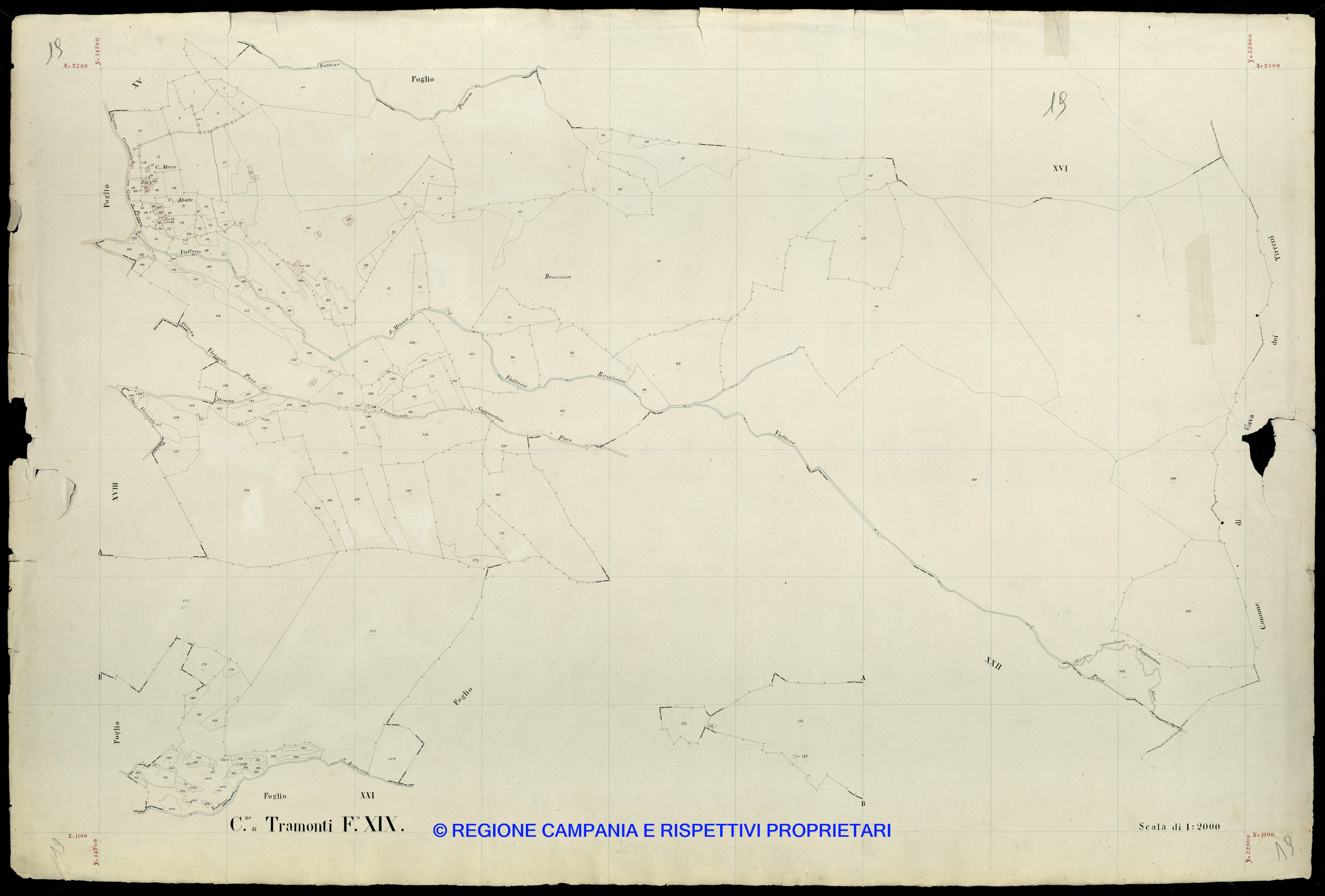 Mappa