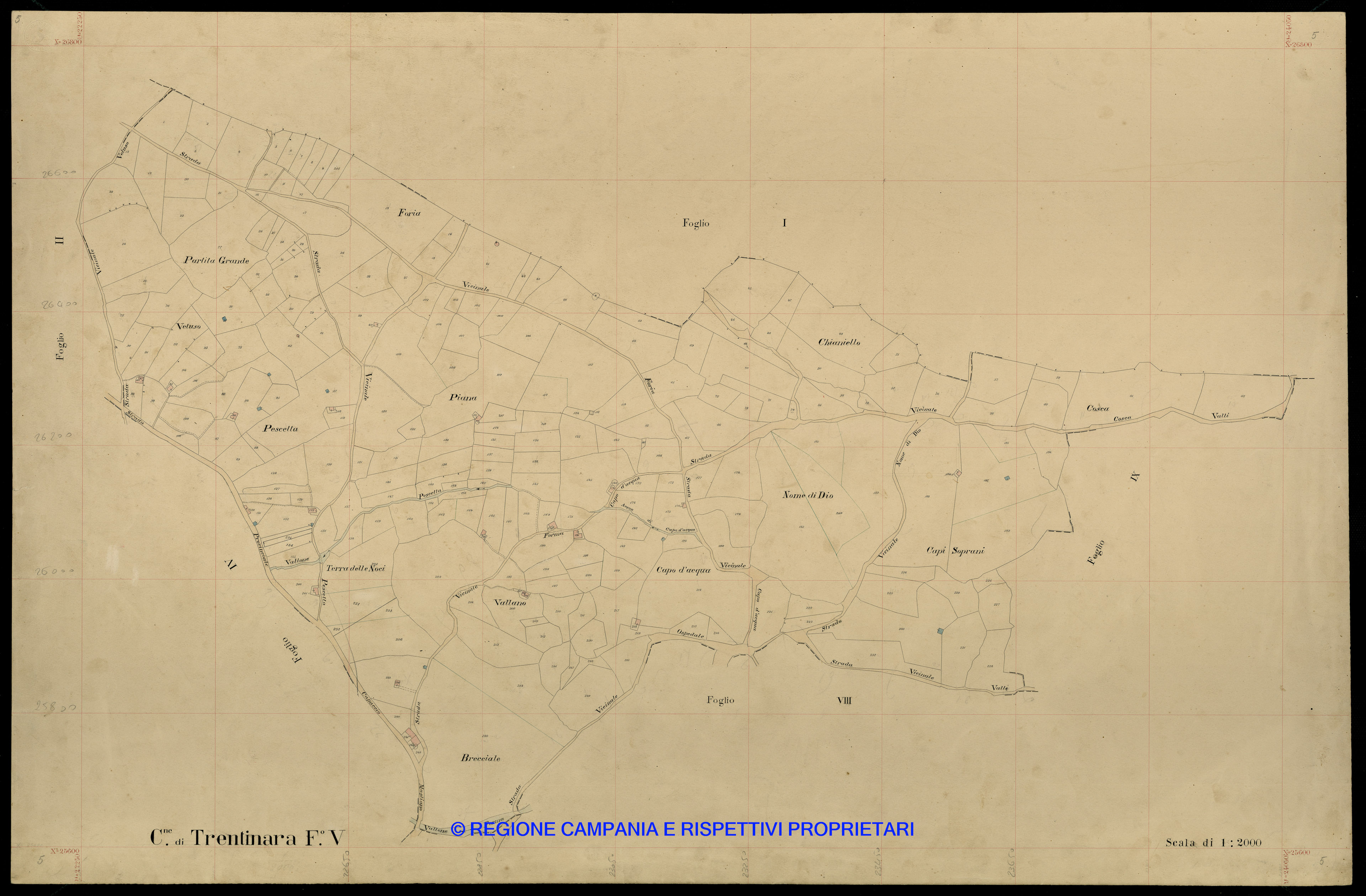 Mappa