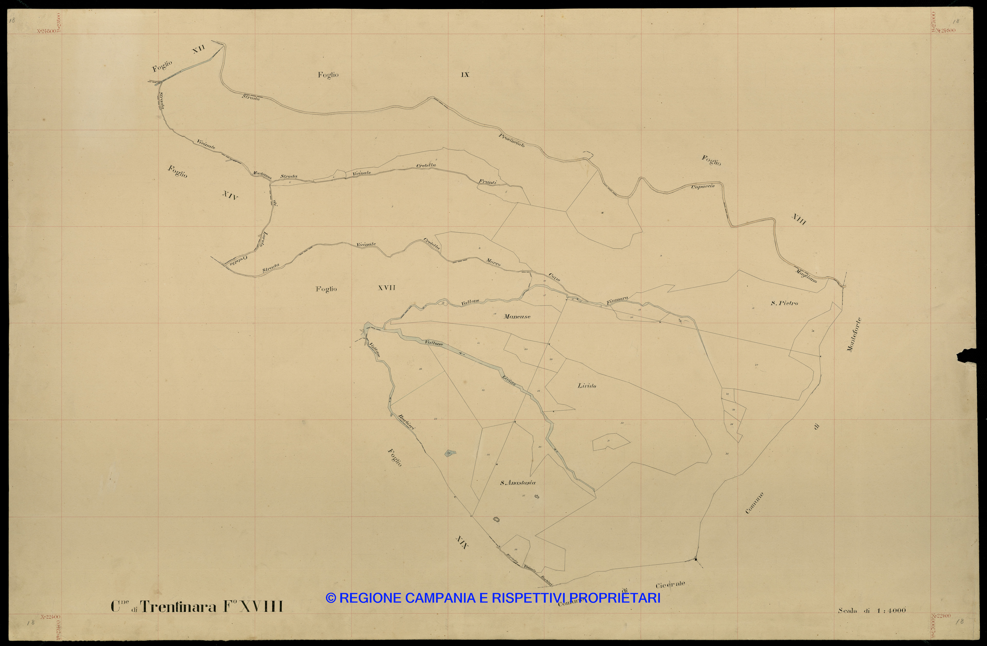 Mappa