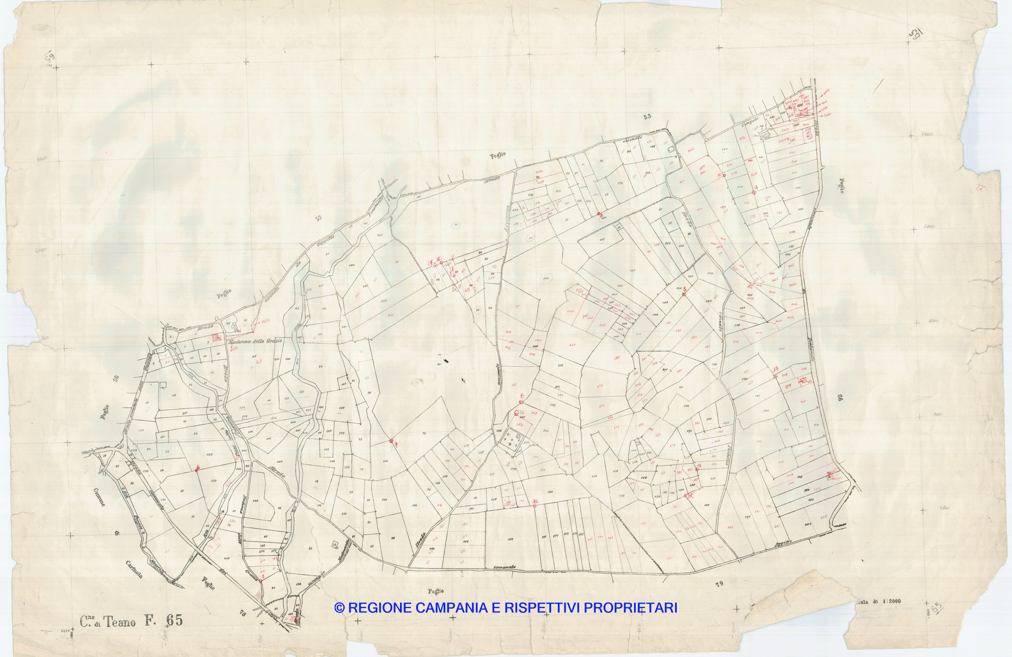 Mappa