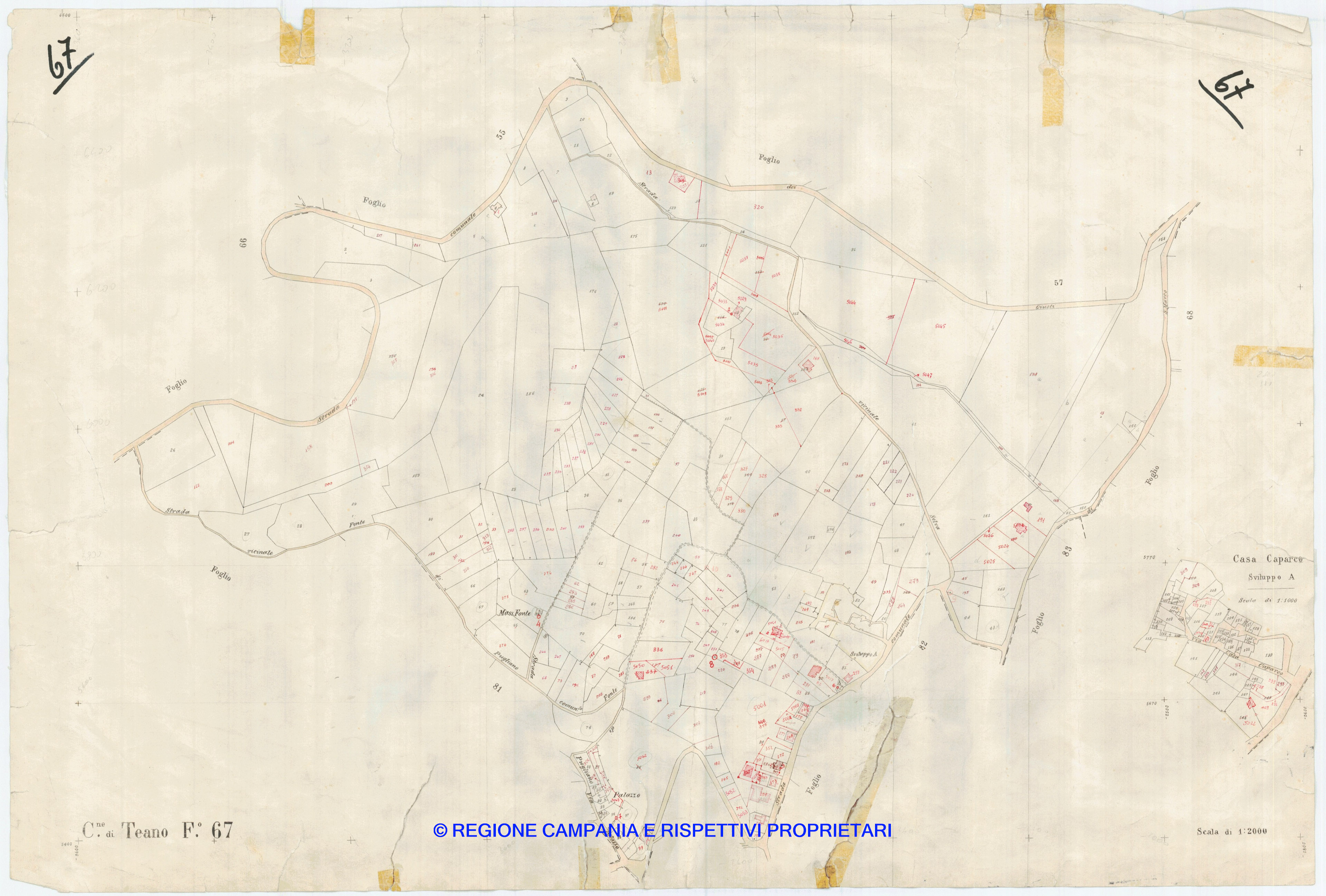 Mappa