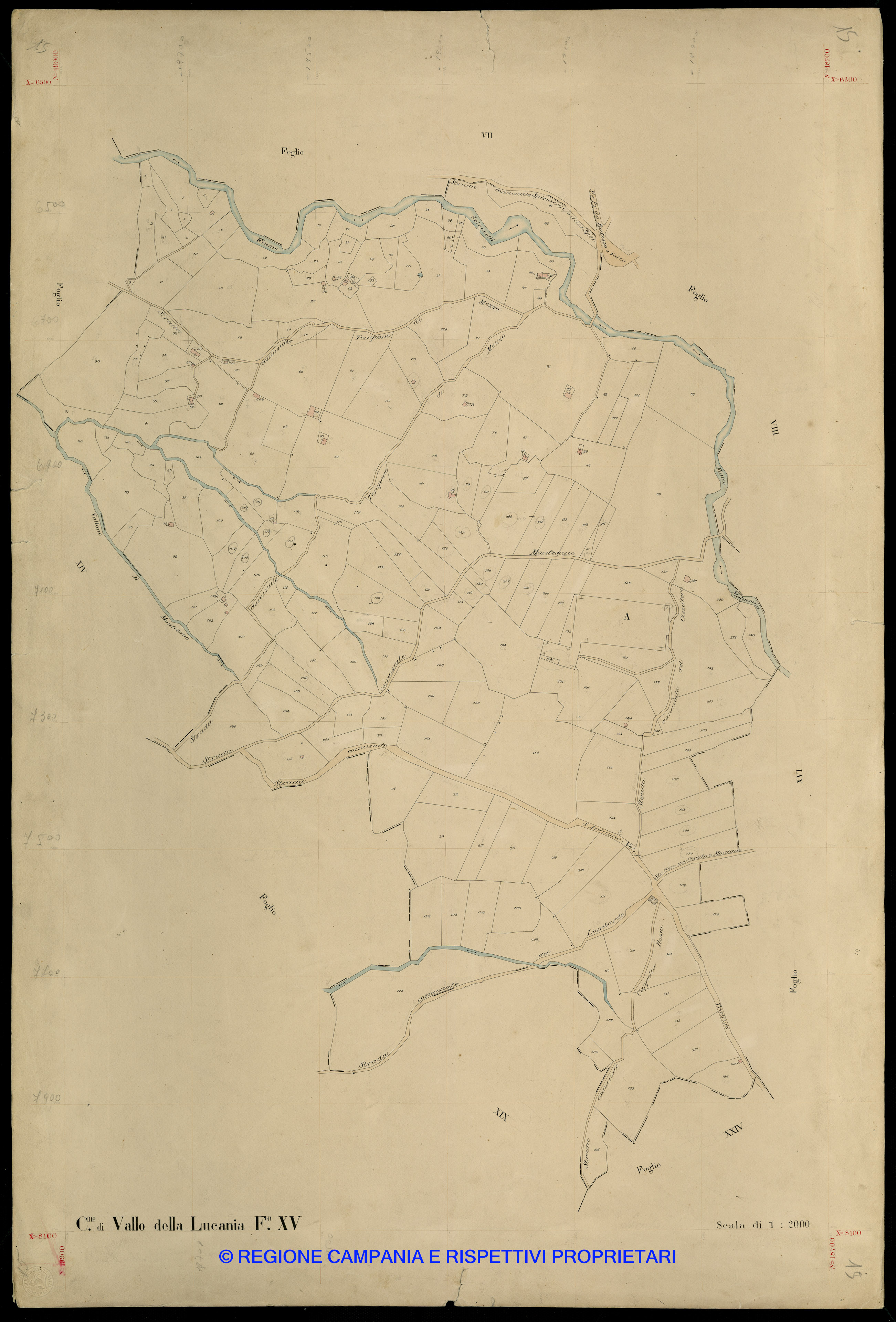 Mappa