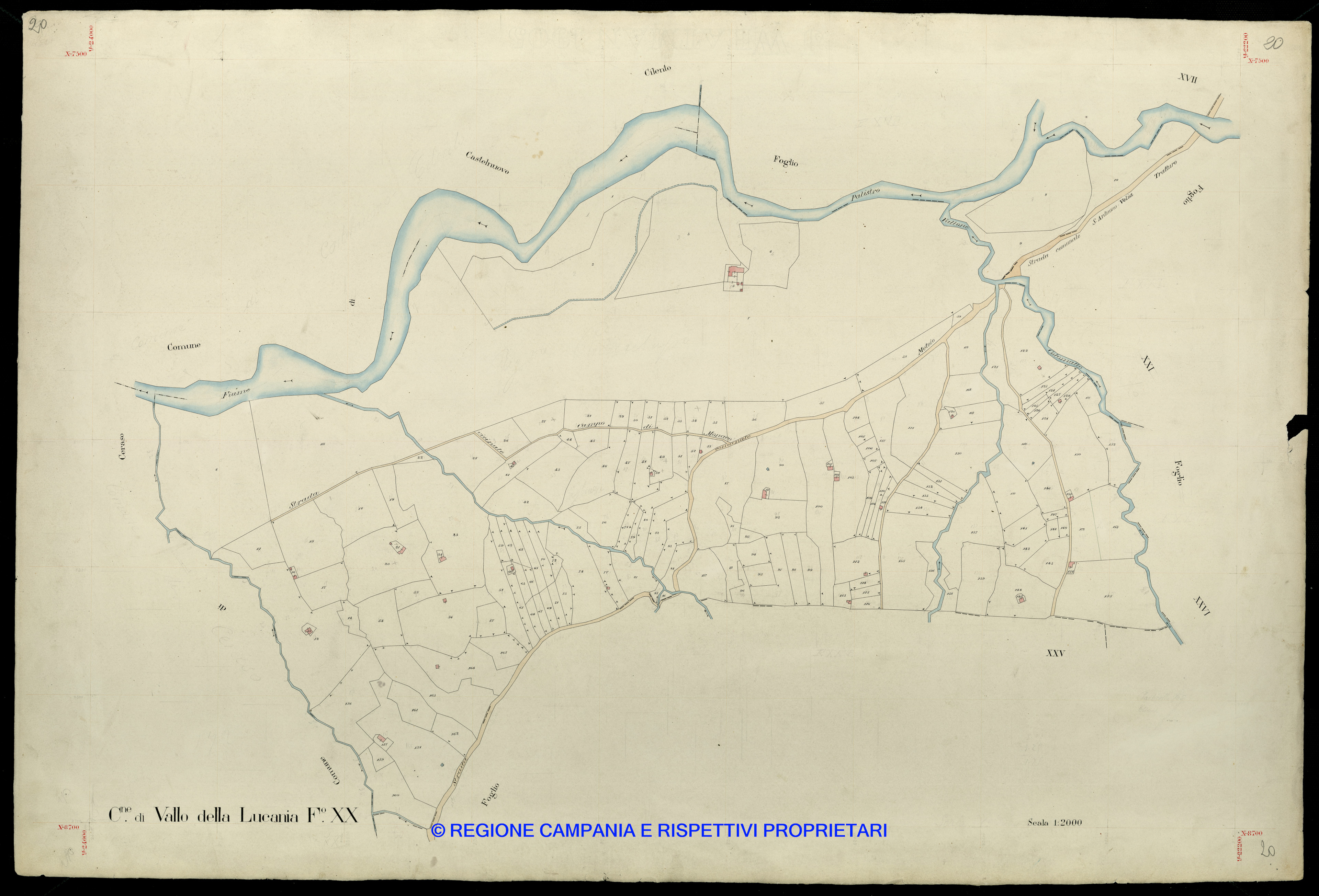 Mappa
