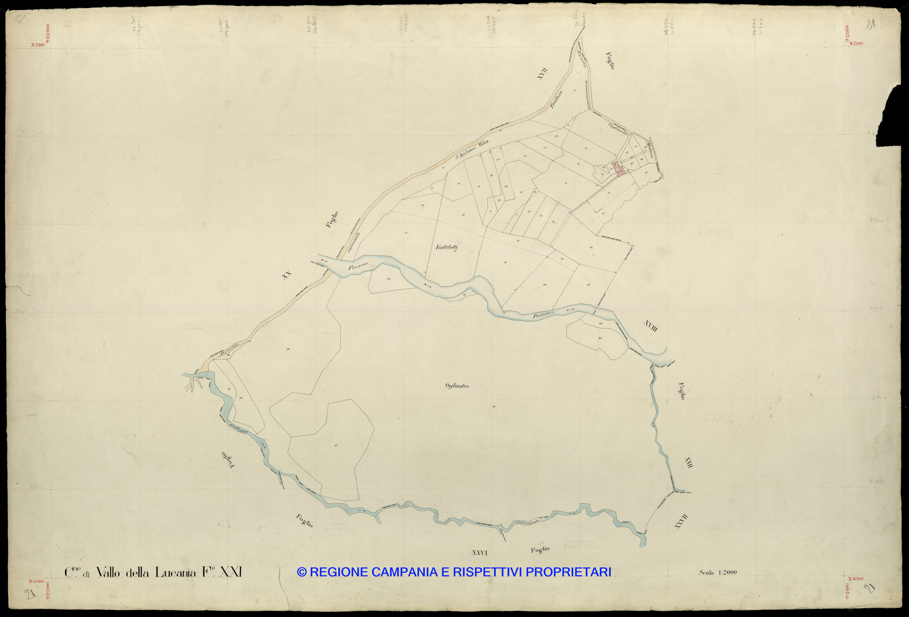 Mappa