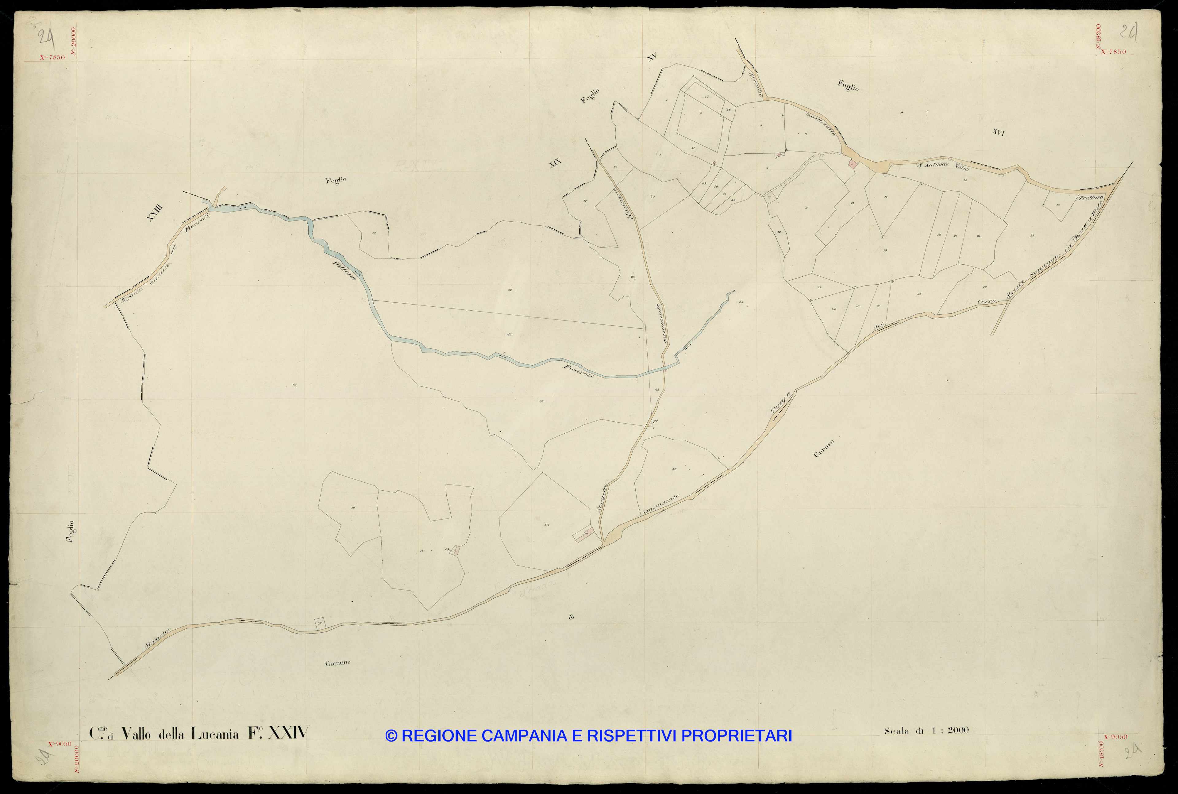 Mappa